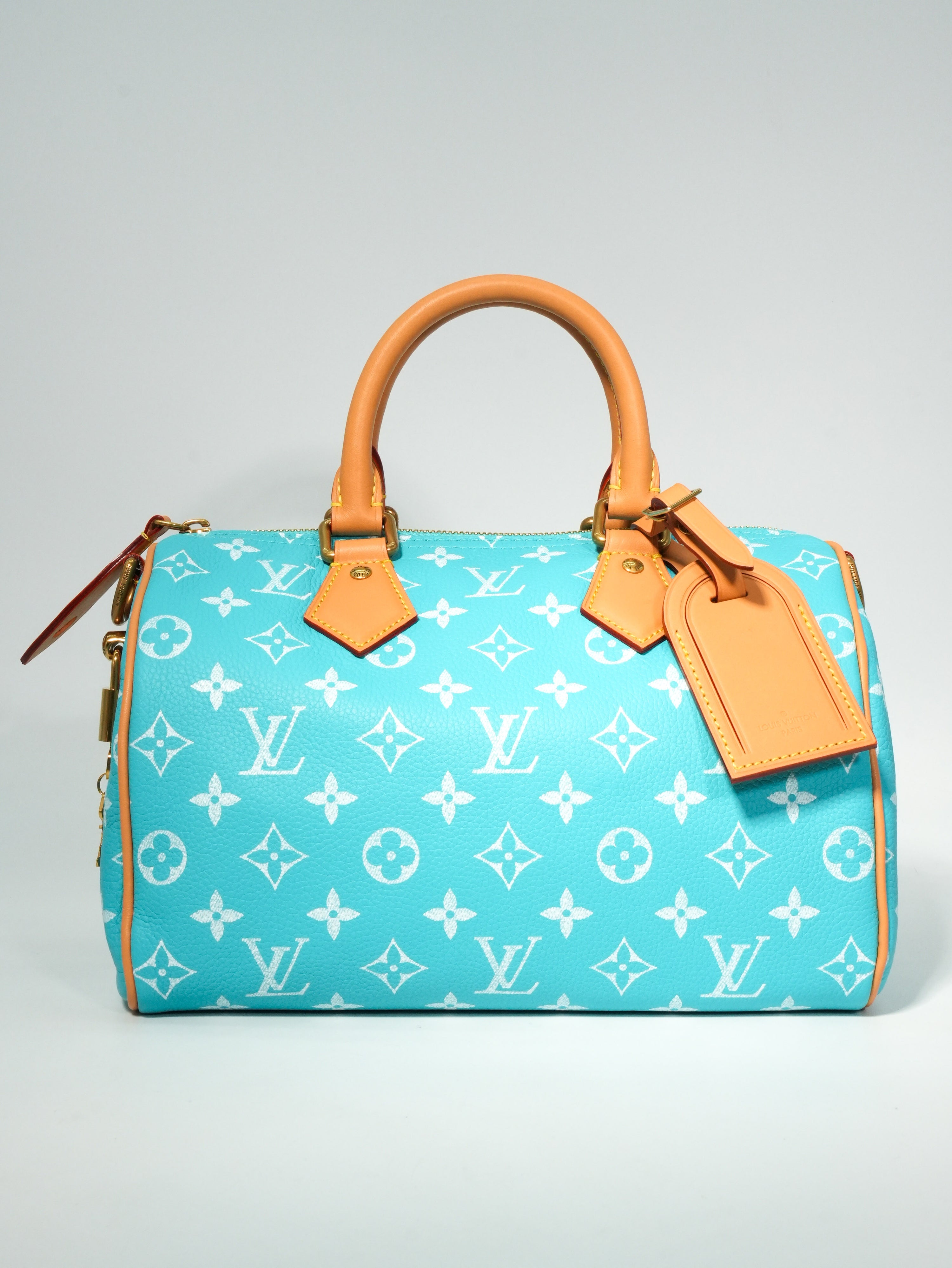 Louis Vuitton Speedy P9 Bandoulière 25