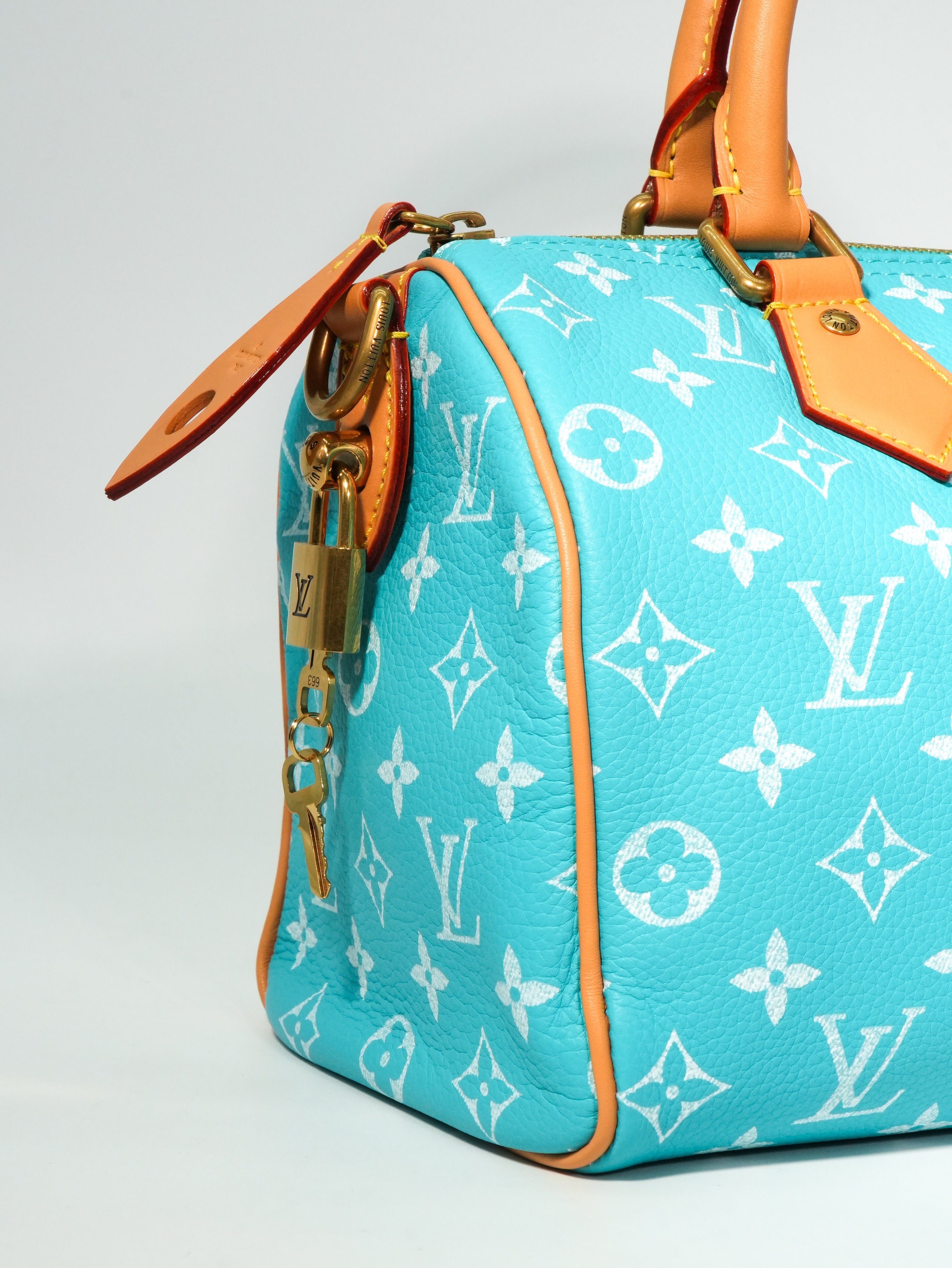 Louis Vuitton Speedy P9 Bandoulière 25