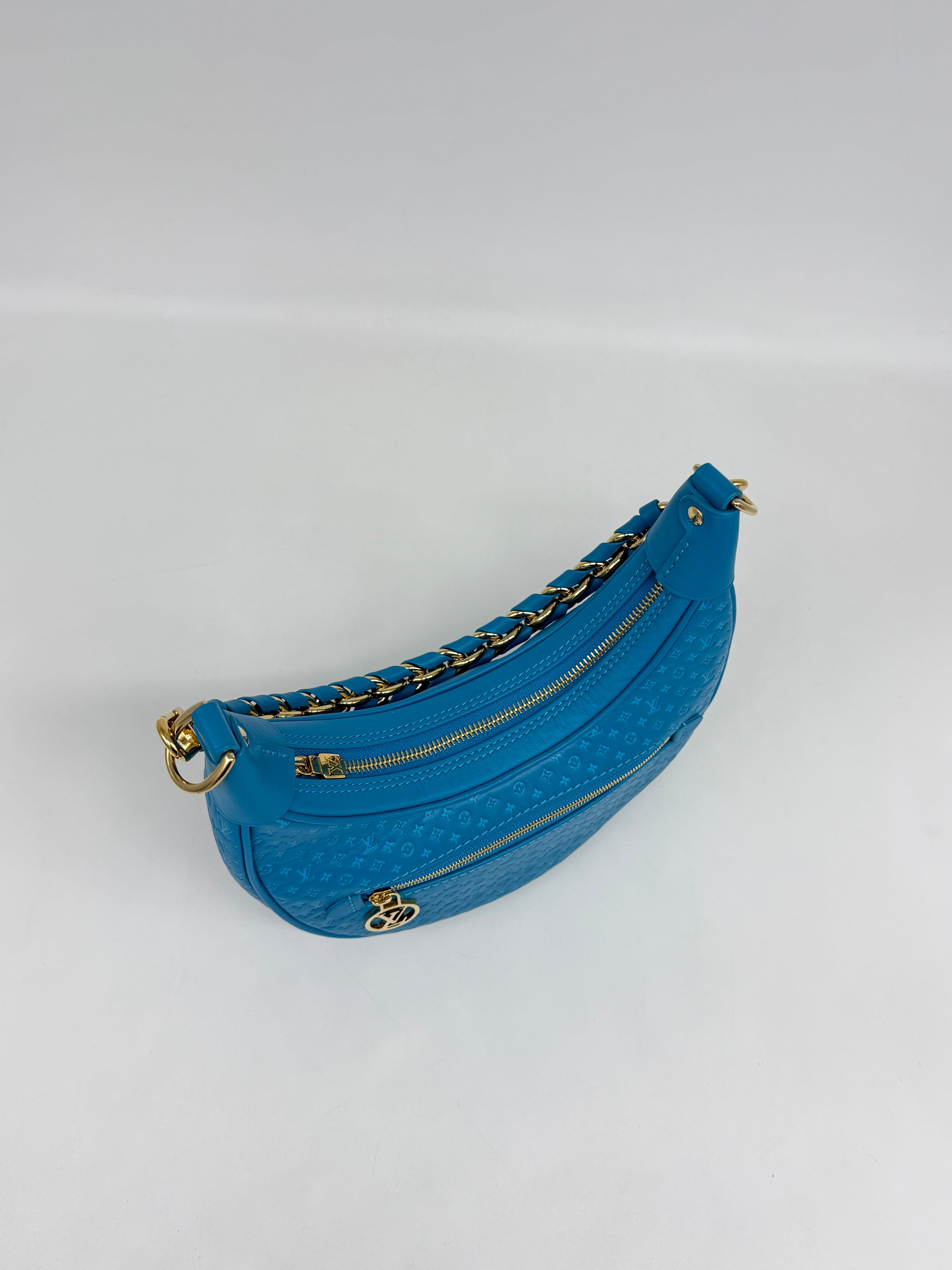 Louis Vuitton Loop Hobo Nanogram