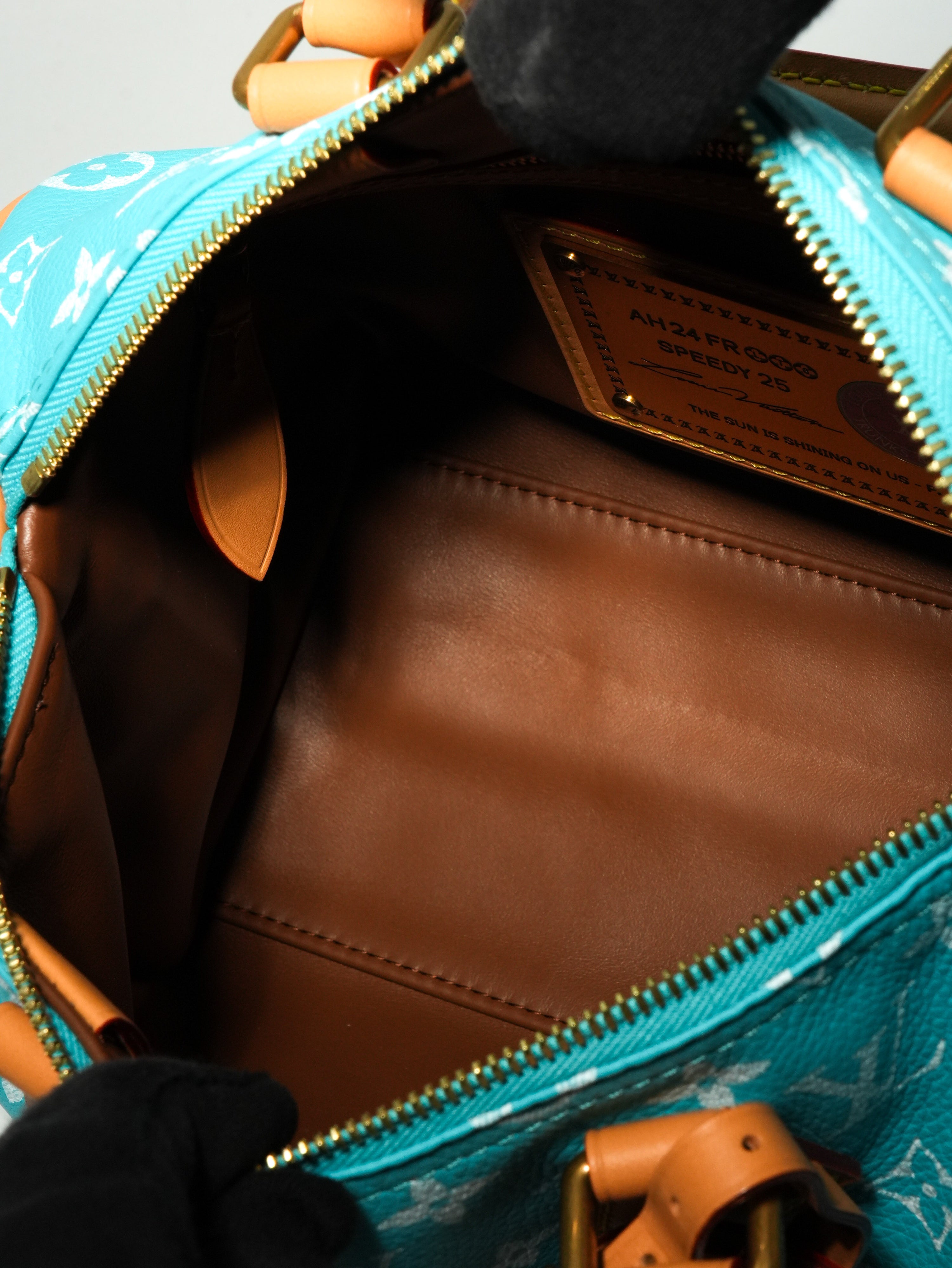 Louis Vuitton Speedy P9 Bandoulière 25