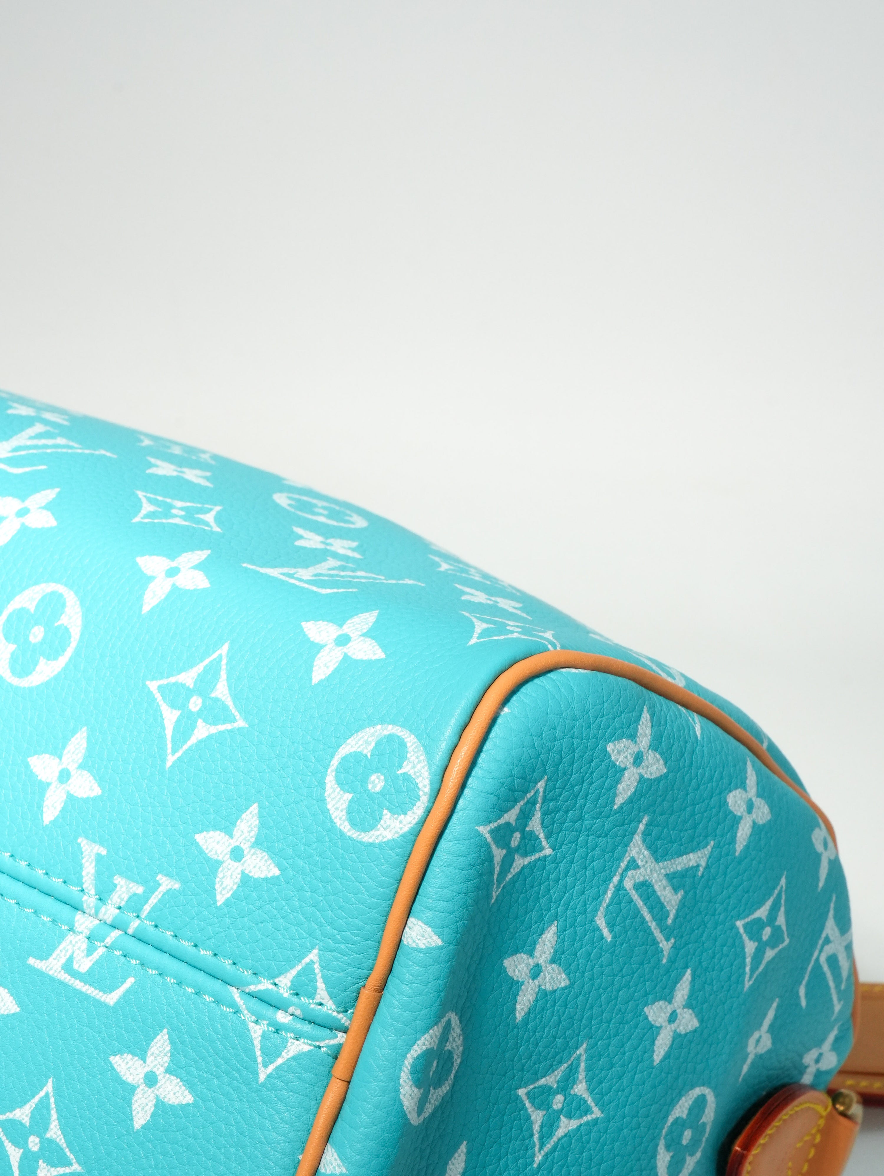 Louis Vuitton Speedy P9 Bandoulière 25