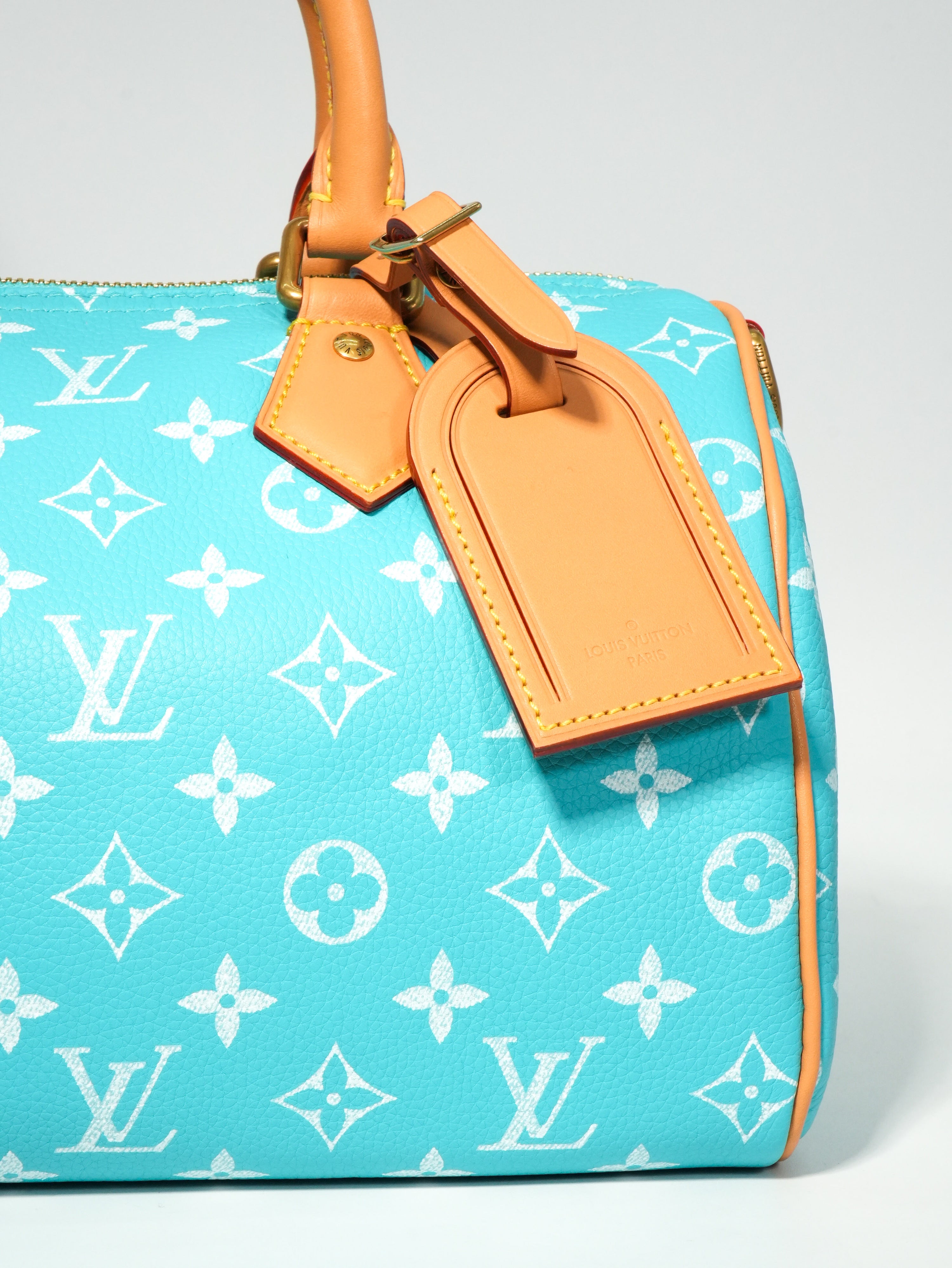Louis Vuitton Speedy P9 Bandoulière 25