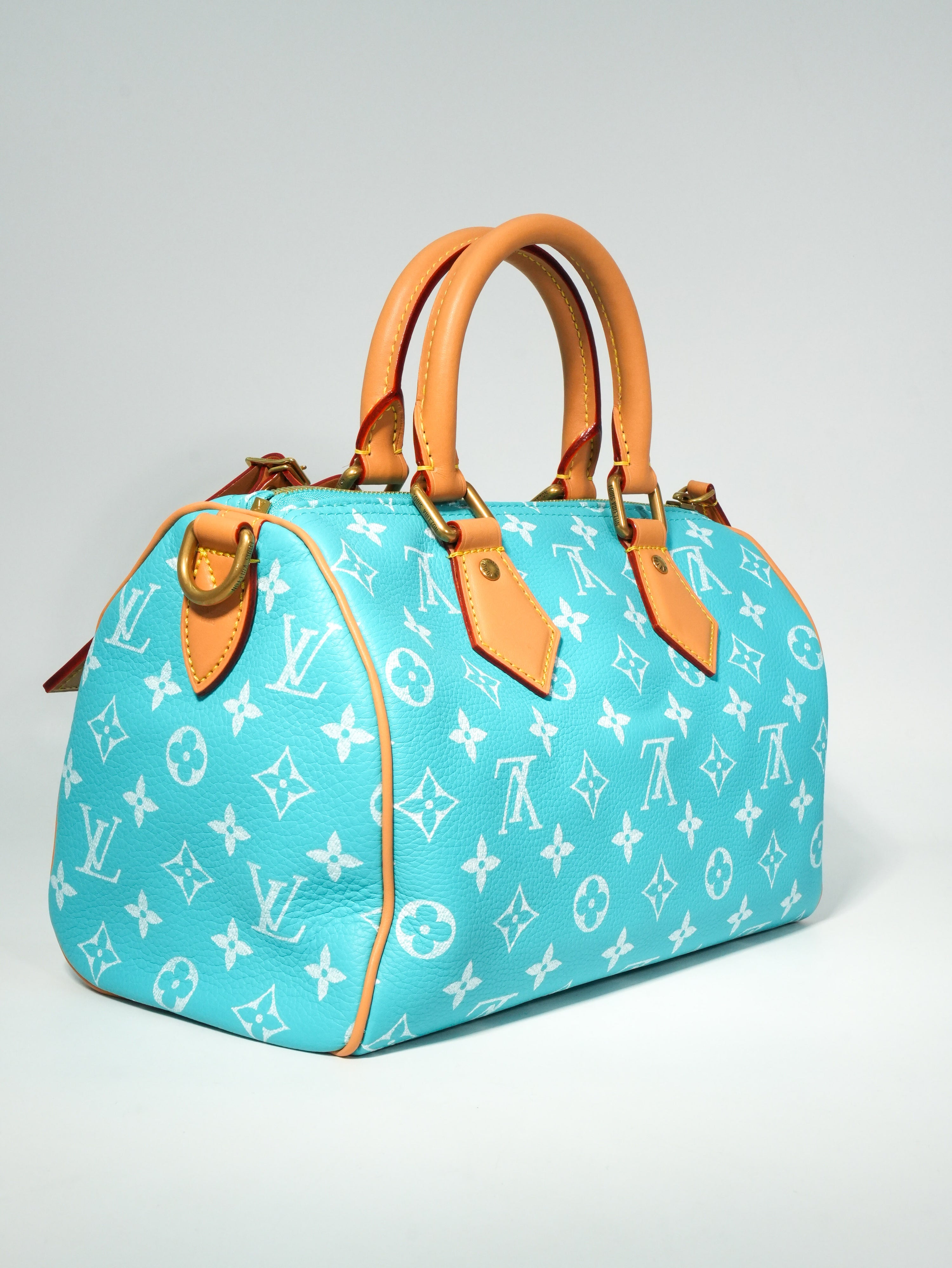 Louis Vuitton Speedy P9 Bandoulière 25