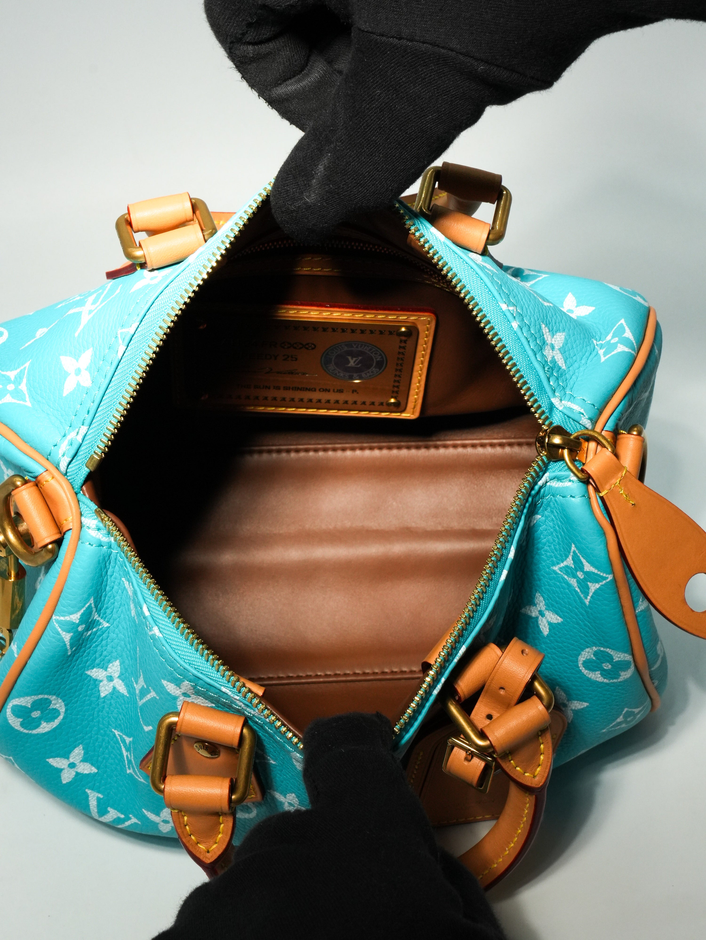 Louis Vuitton Speedy P9 Bandoulière 25