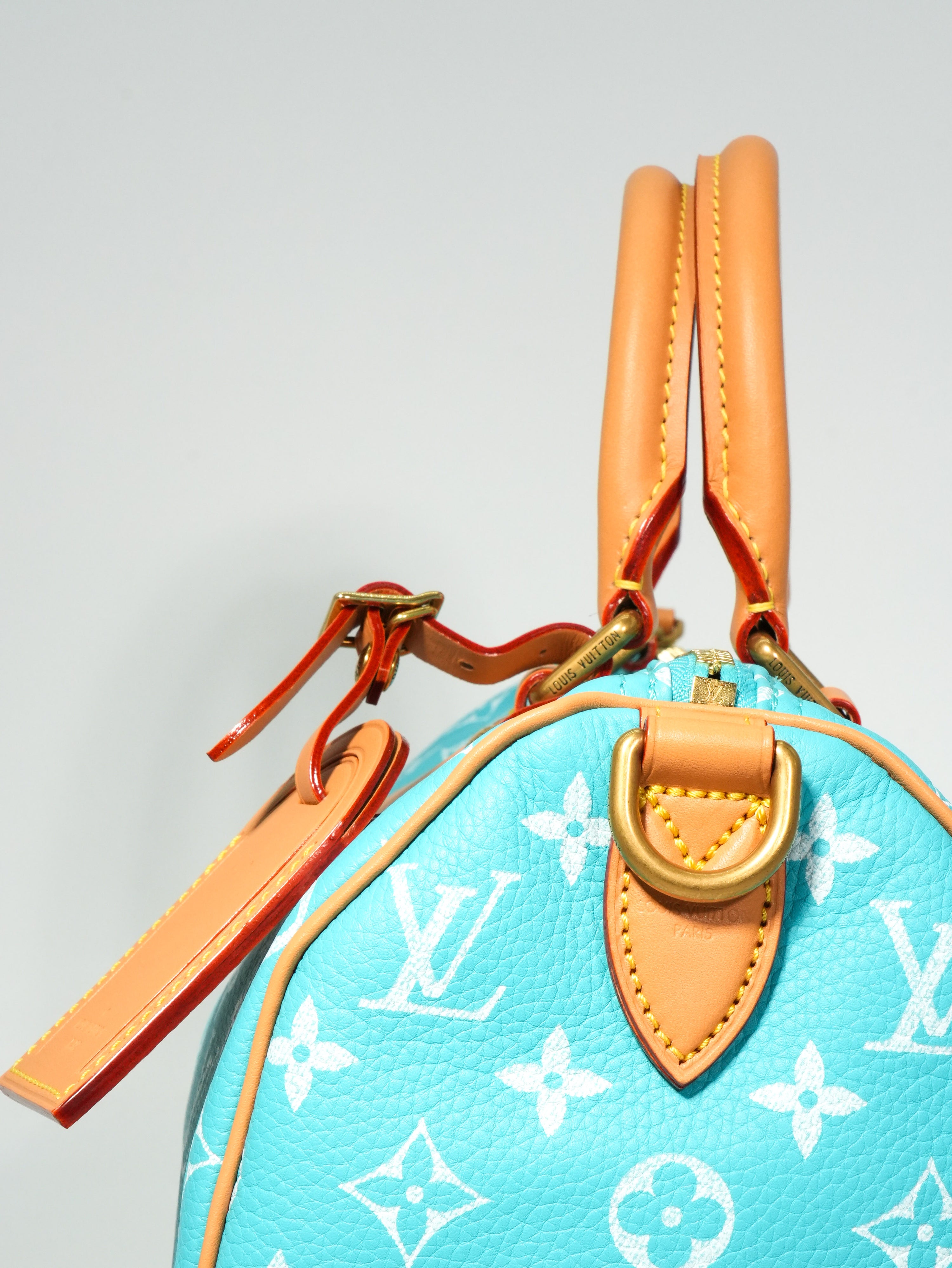 Louis Vuitton Speedy P9 Bandoulière 25