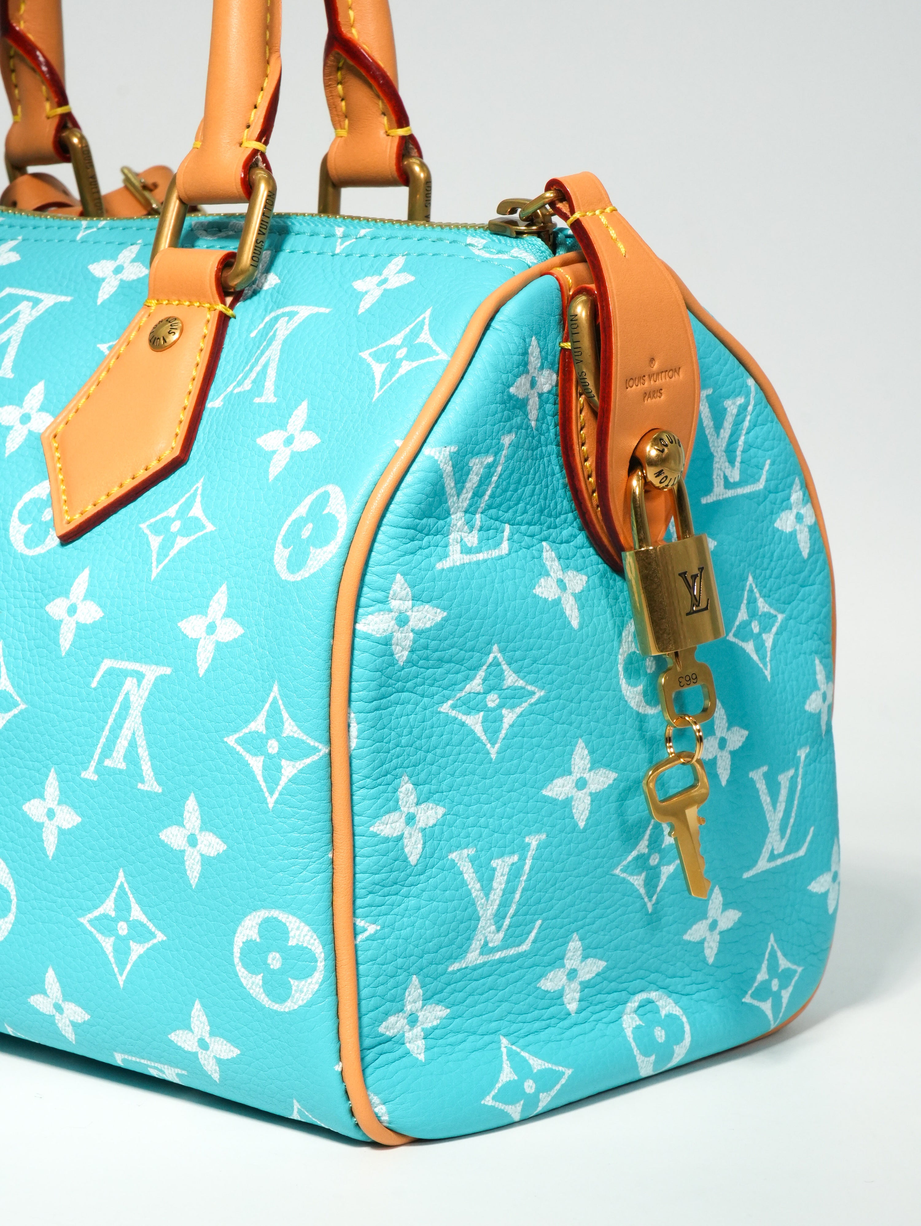 Louis Vuitton Speedy P9 Bandoulière 25