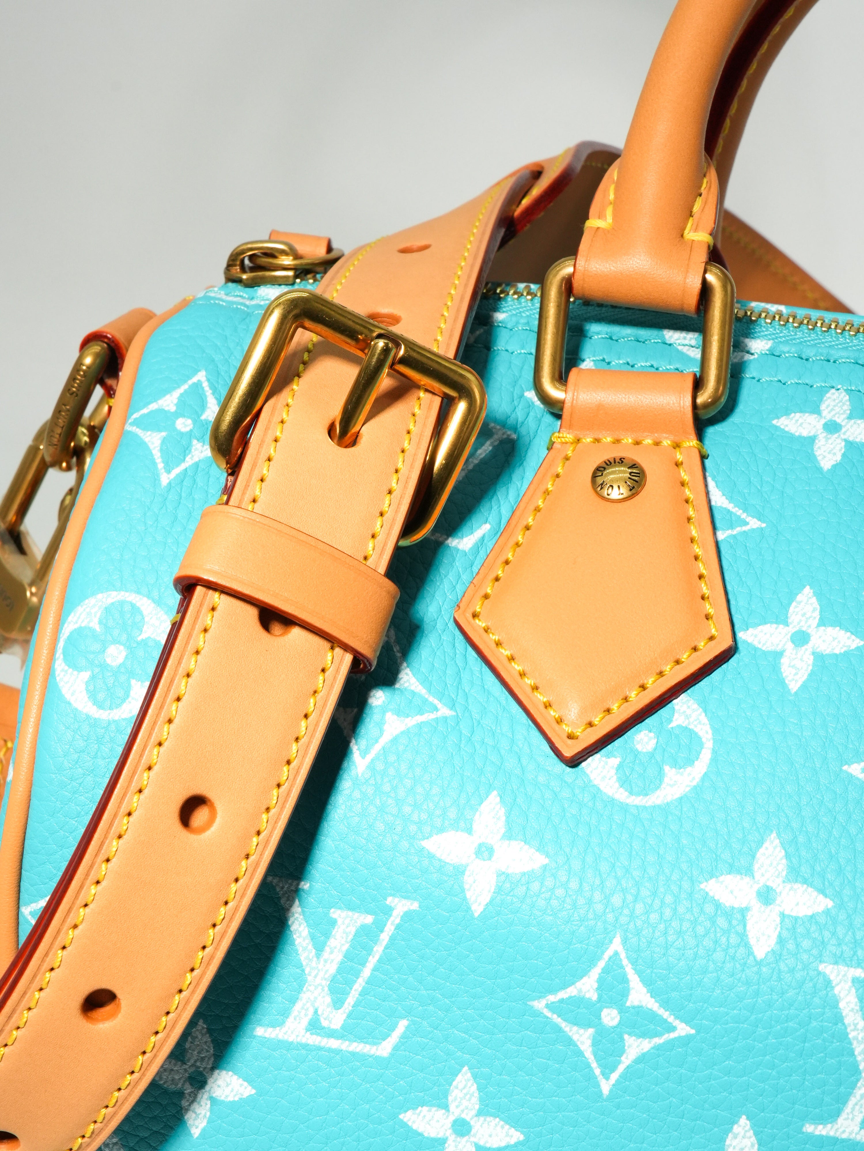 Louis Vuitton Speedy P9 Bandoulière 25