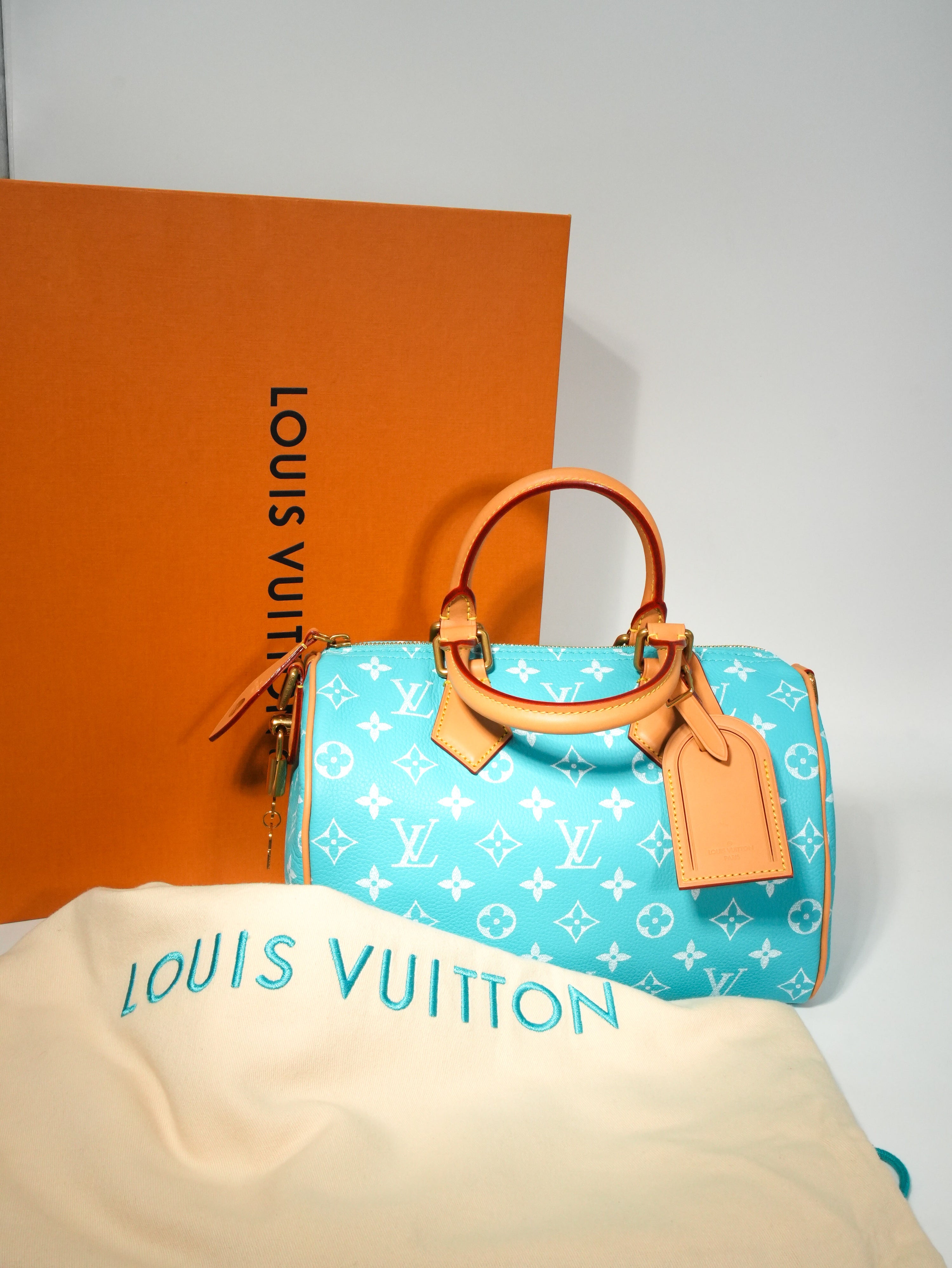 Louis Vuitton Speedy P9 Bandoulière 25
