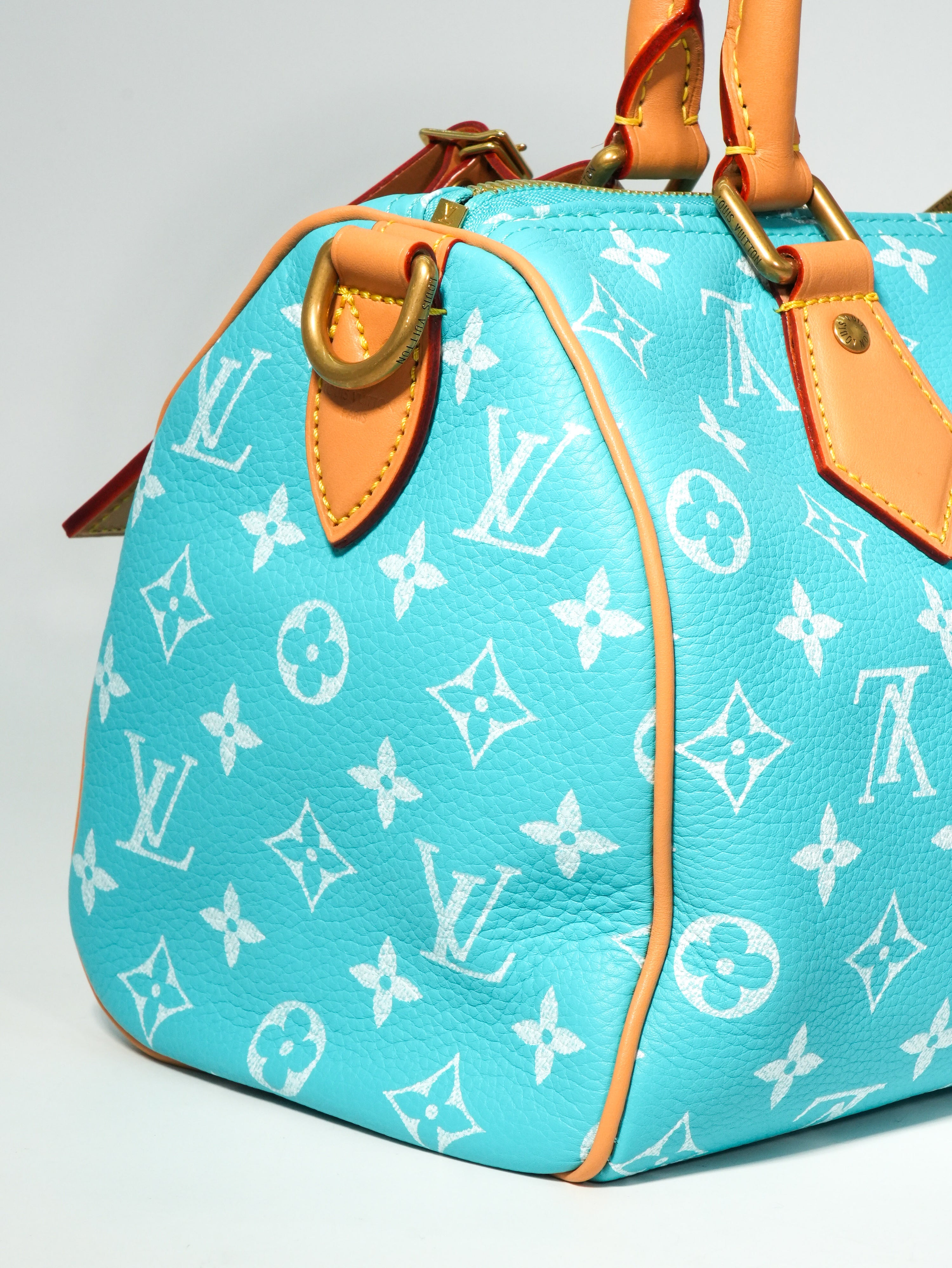 Louis Vuitton Speedy P9 Bandoulière 25