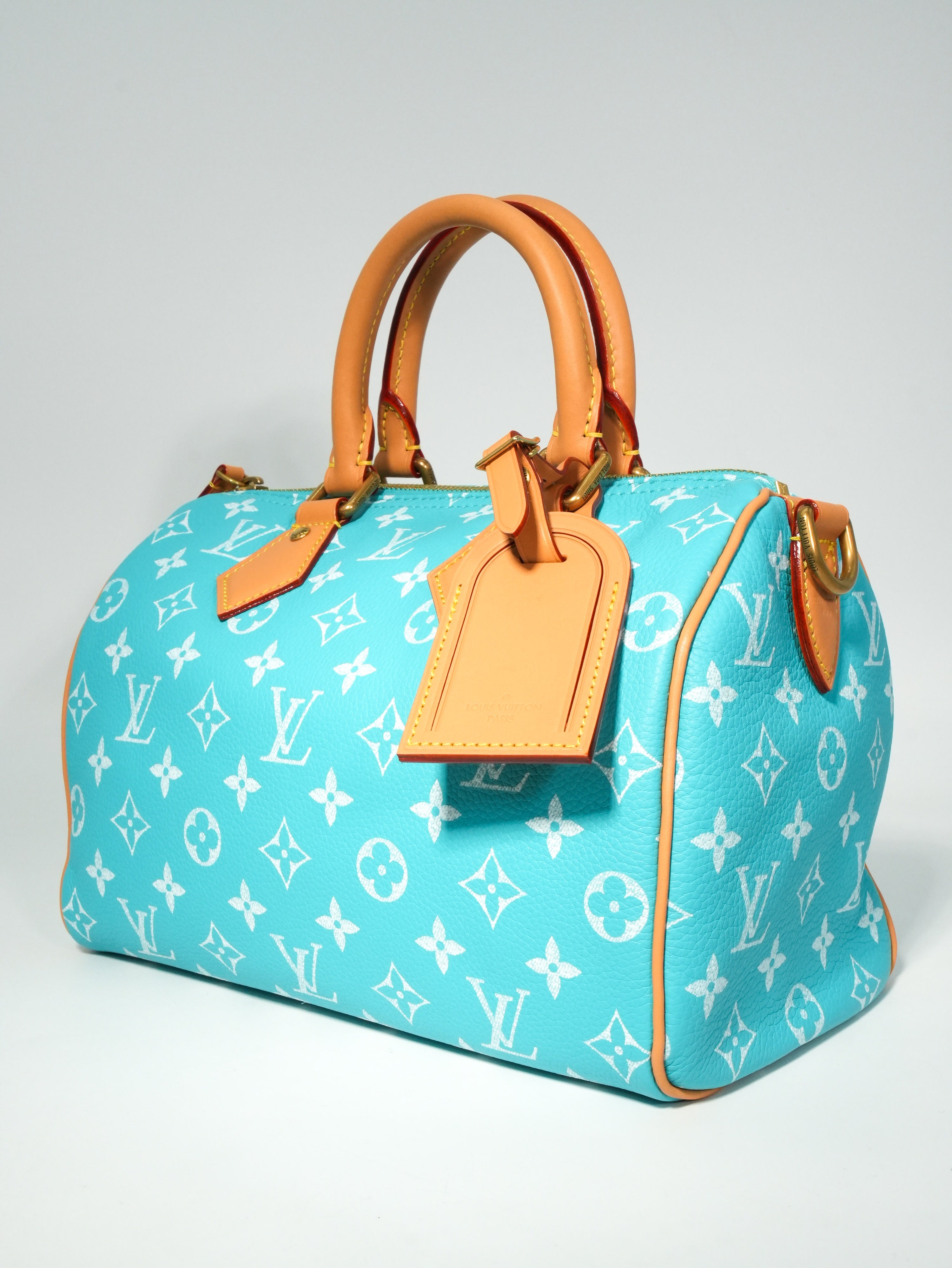 Louis Vuitton Speedy P9 Bandoulière 25