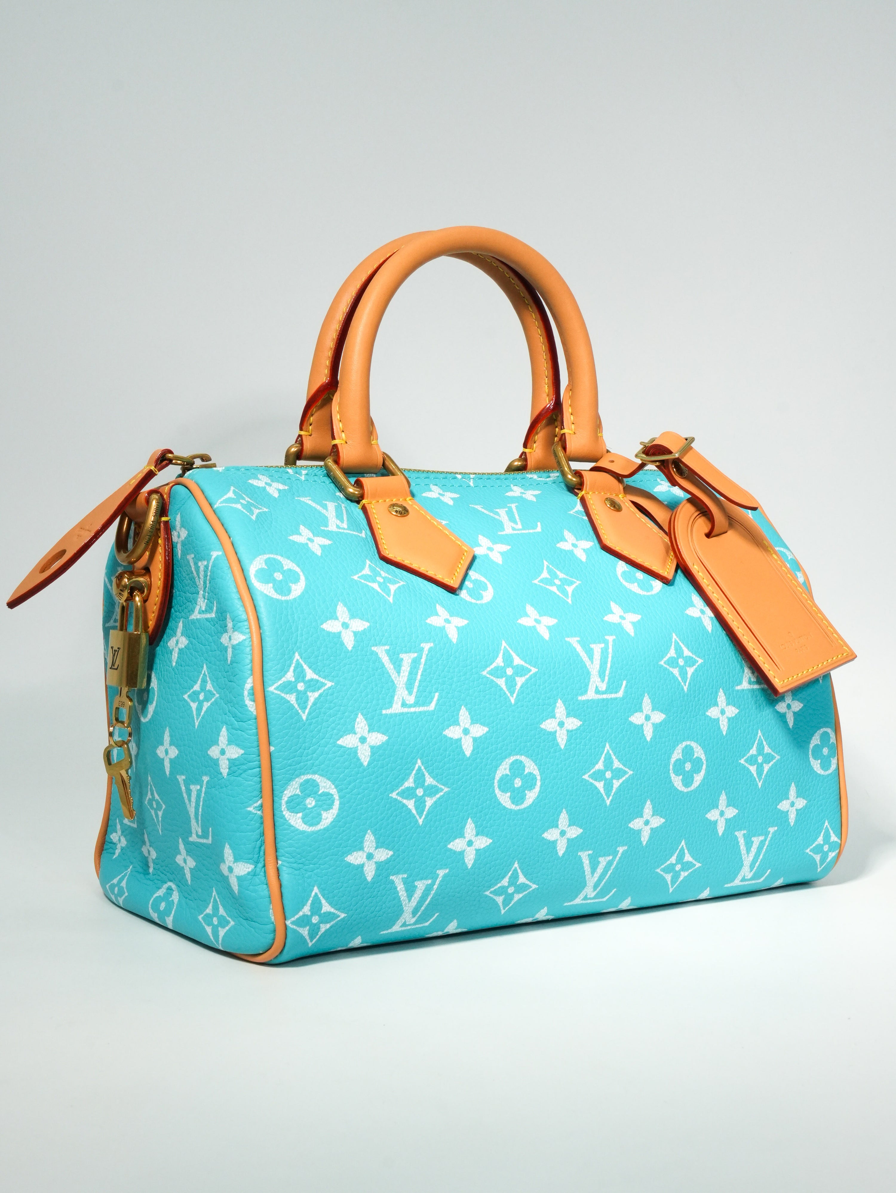 Louis Vuitton Speedy P9 Bandoulière 25