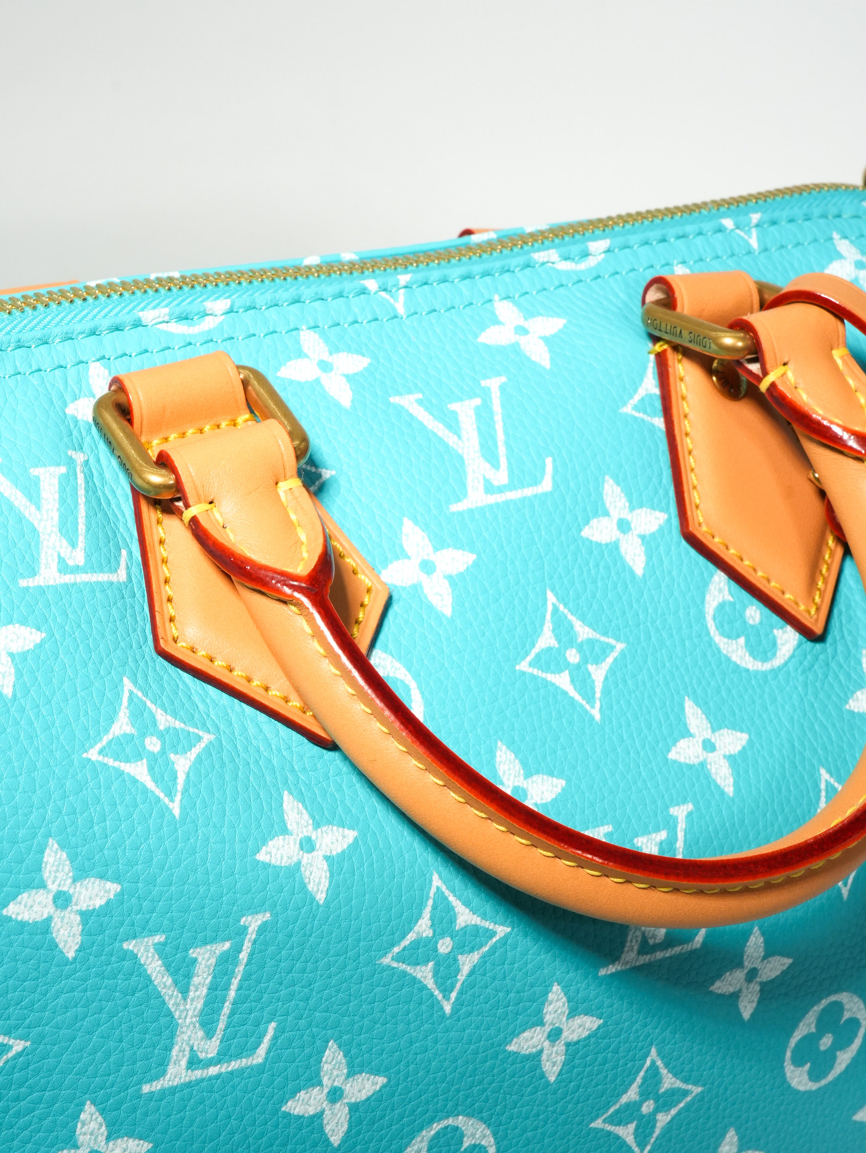 Louis Vuitton Speedy P9 Bandoulière 25