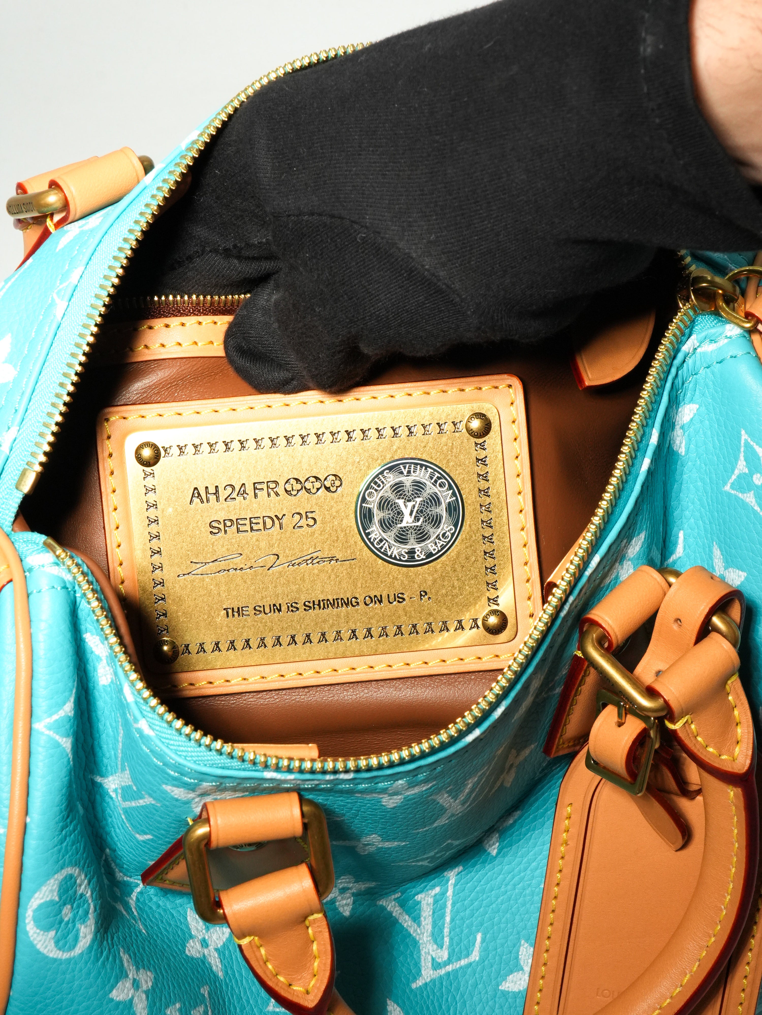 Louis Vuitton Speedy P9 Bandoulière 25