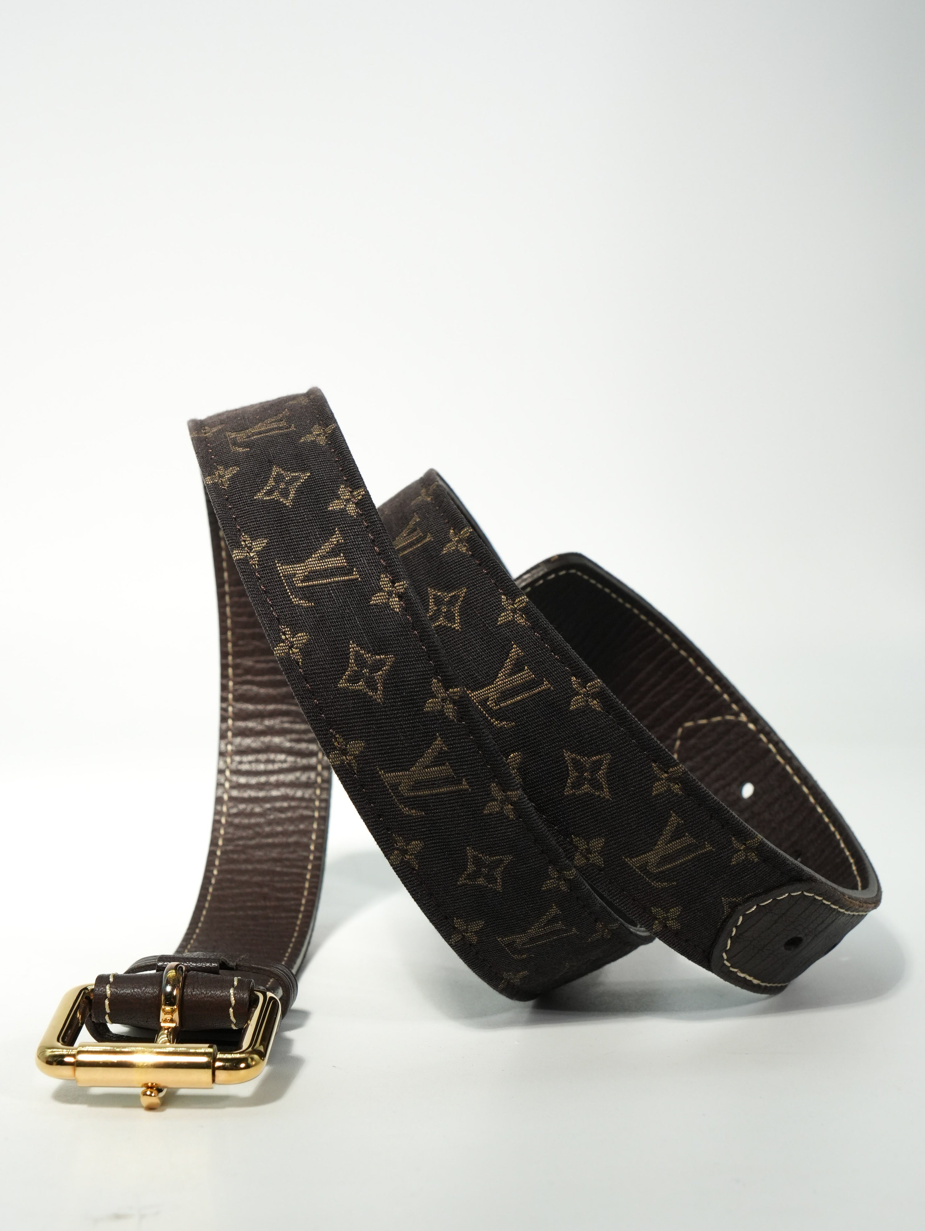 Louis Vuitton Cintura Mini Lin