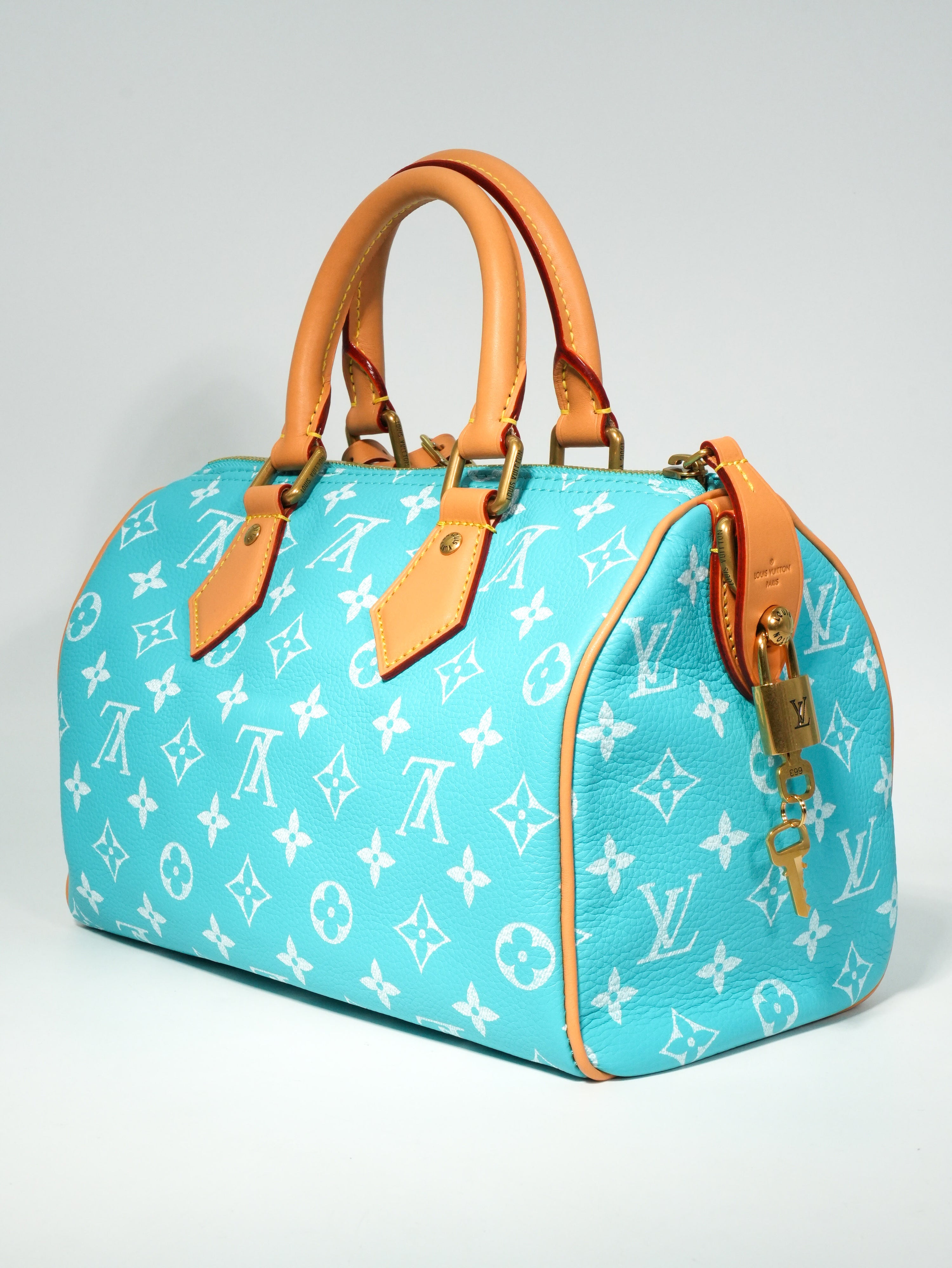Louis Vuitton Speedy P9 Bandoulière 25