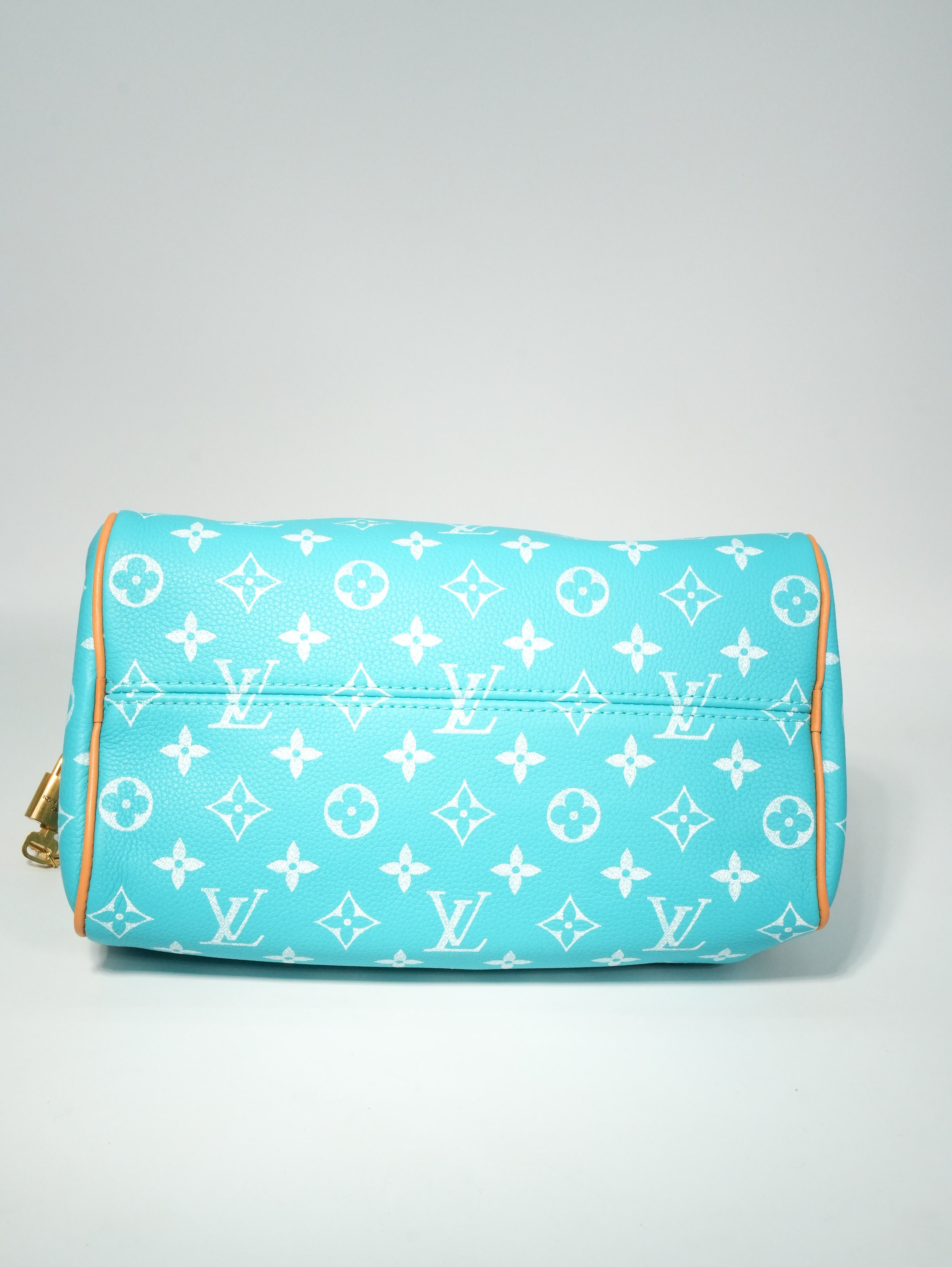Louis Vuitton Speedy P9 Bandoulière 25