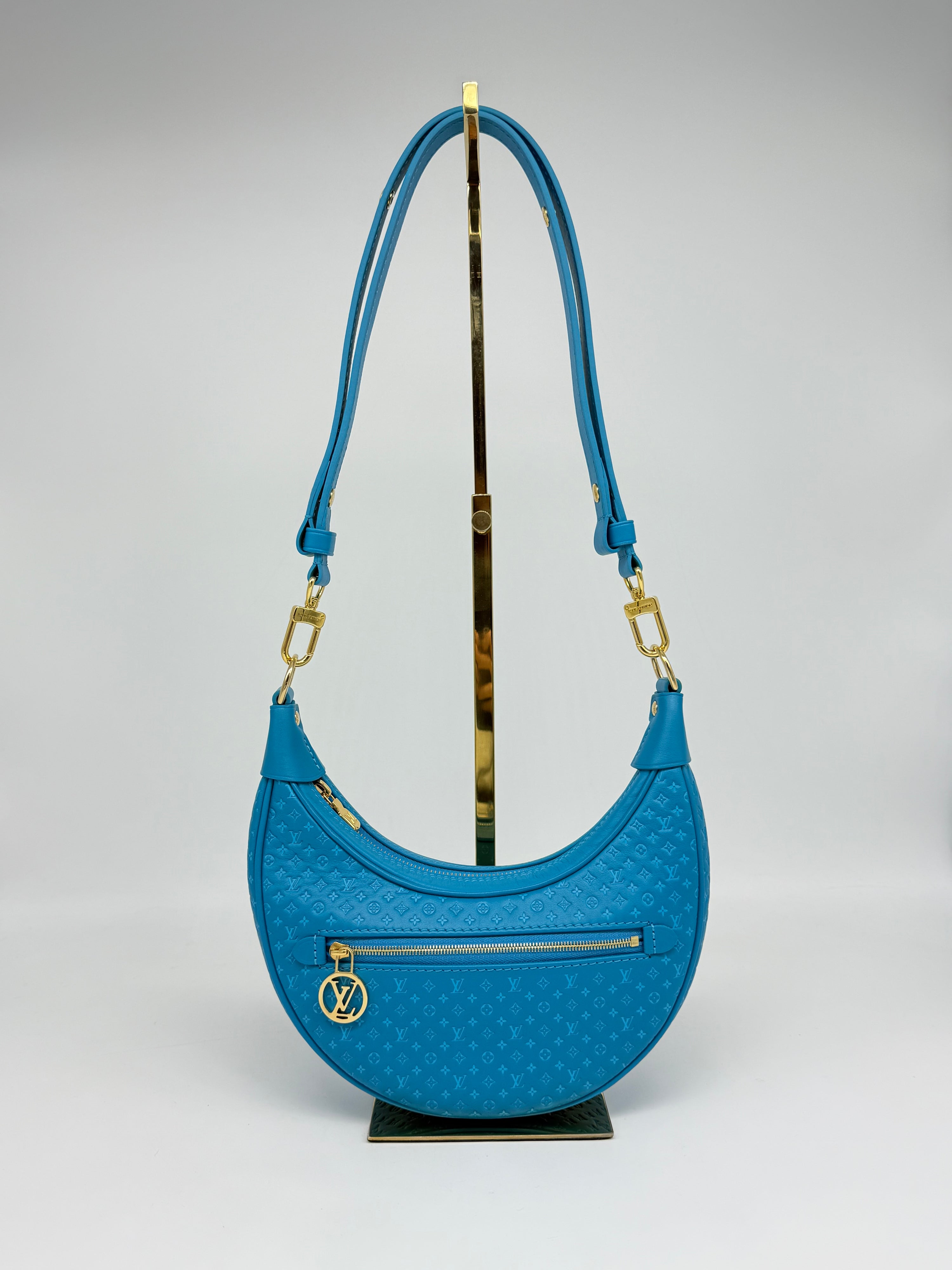 Louis Vuitton Loop Hobo Nanogram