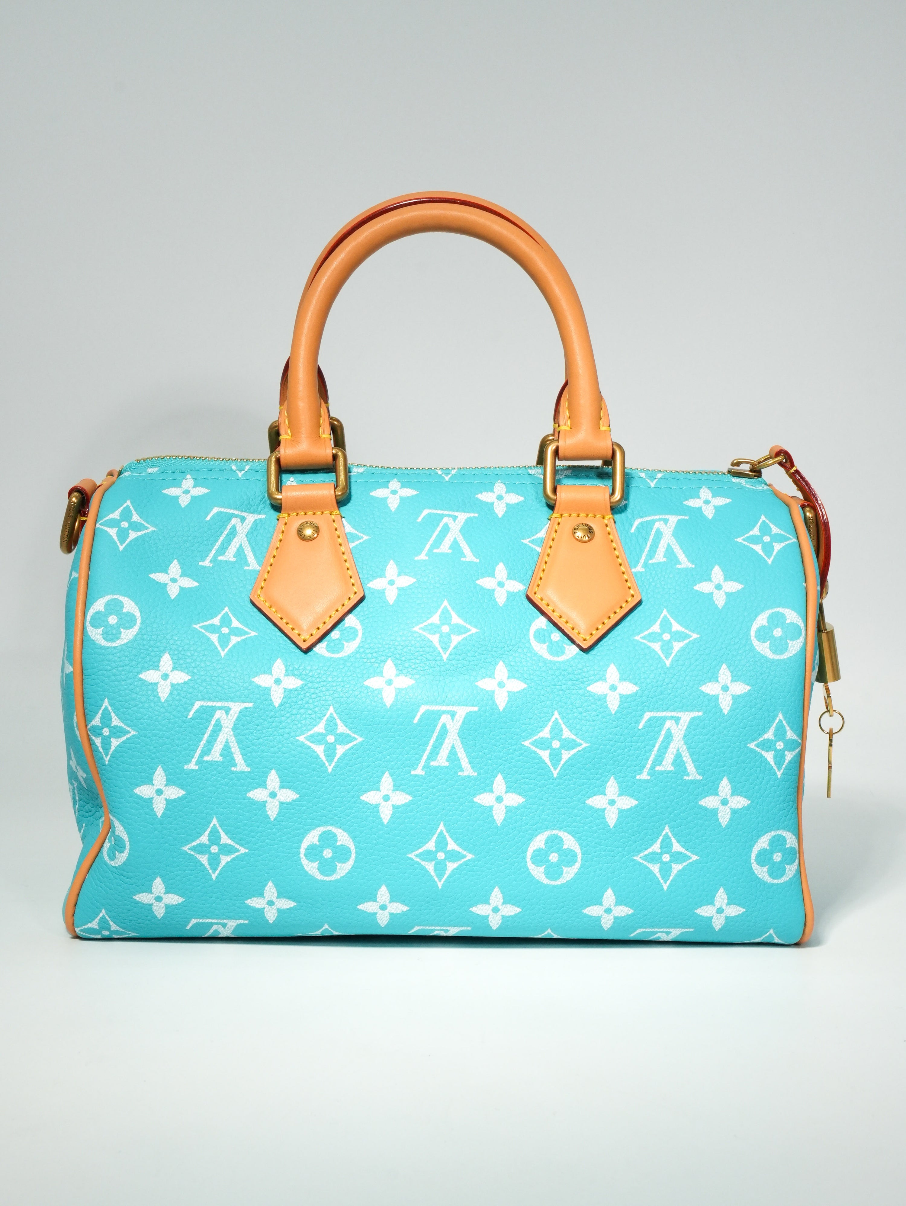 Louis Vuitton Speedy P9 Bandoulière 25