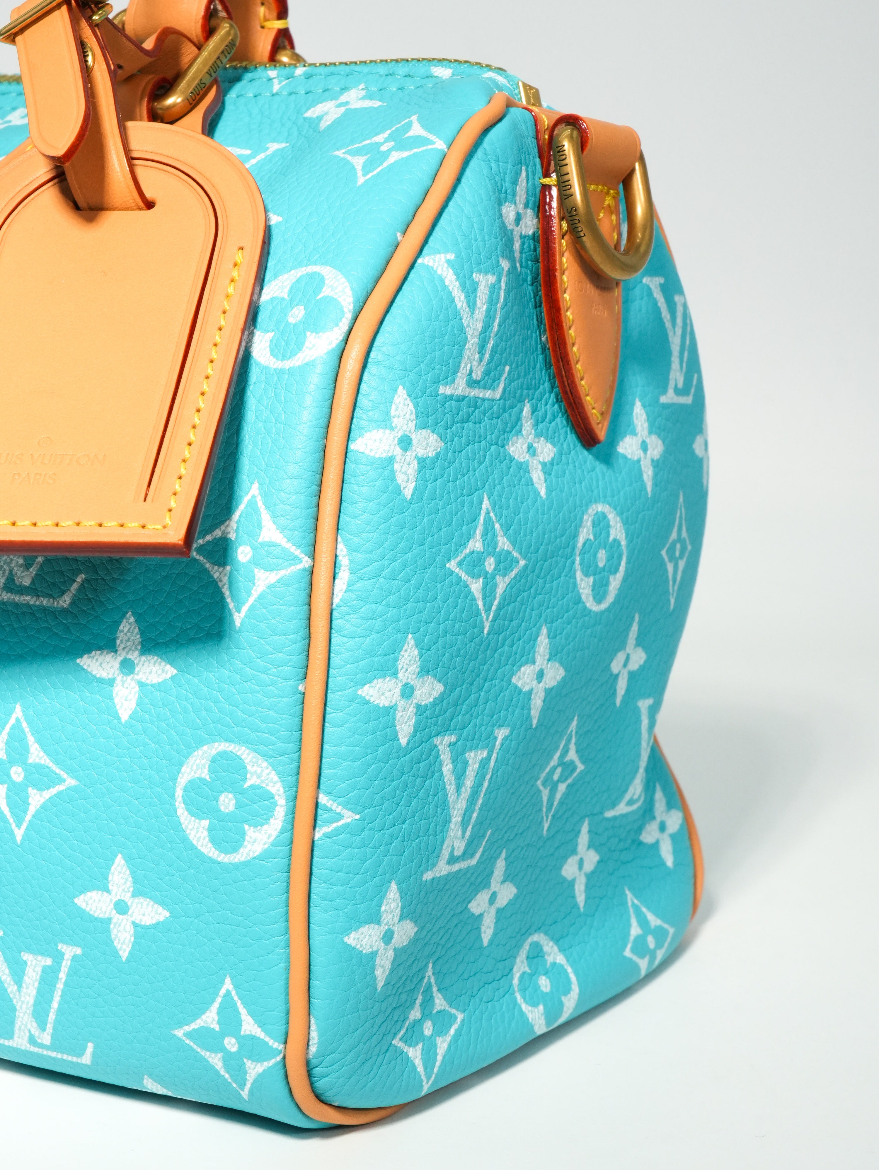 Louis Vuitton Speedy P9 Bandoulière 25