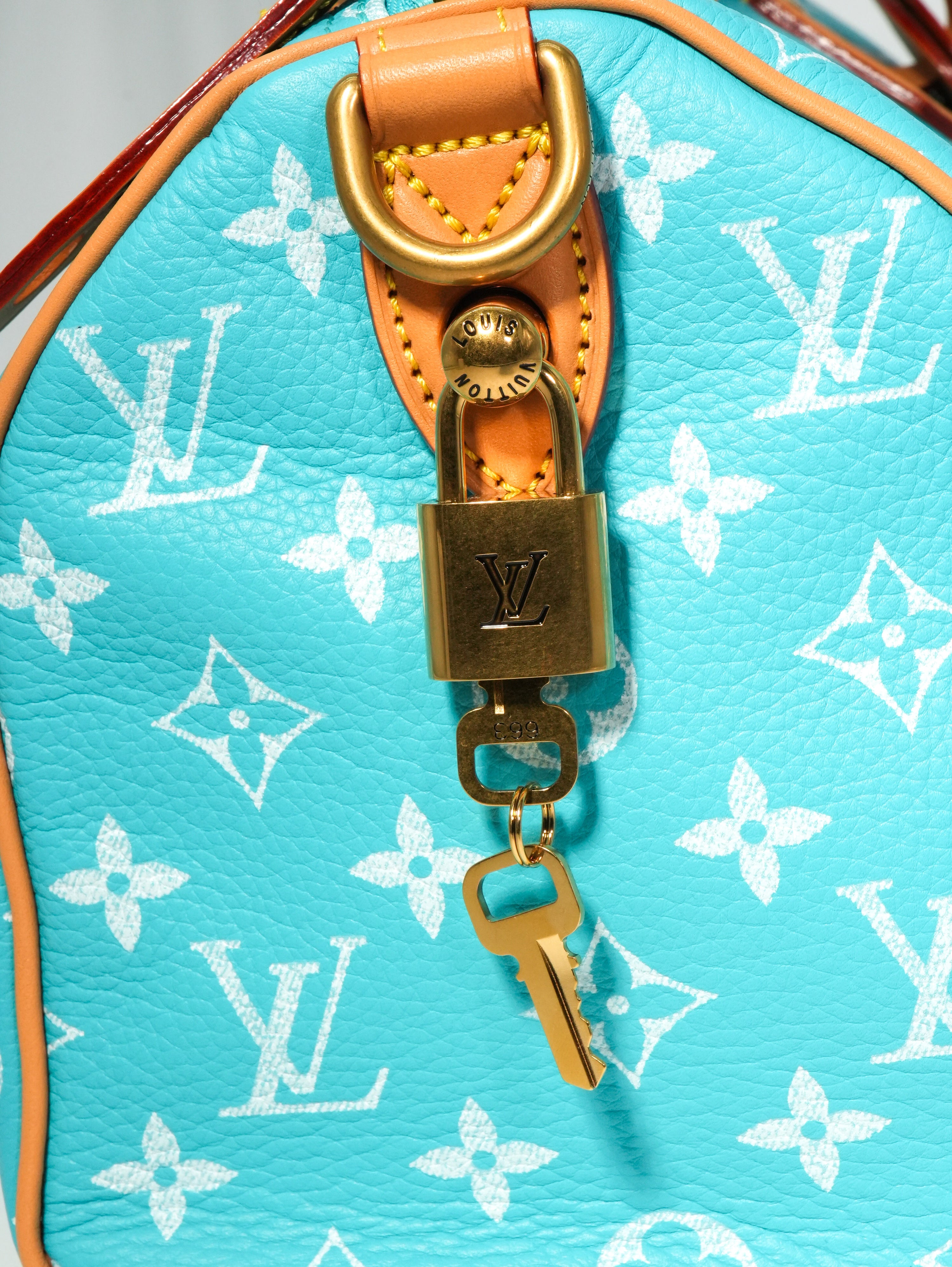 Louis Vuitton Speedy P9 Bandoulière 25