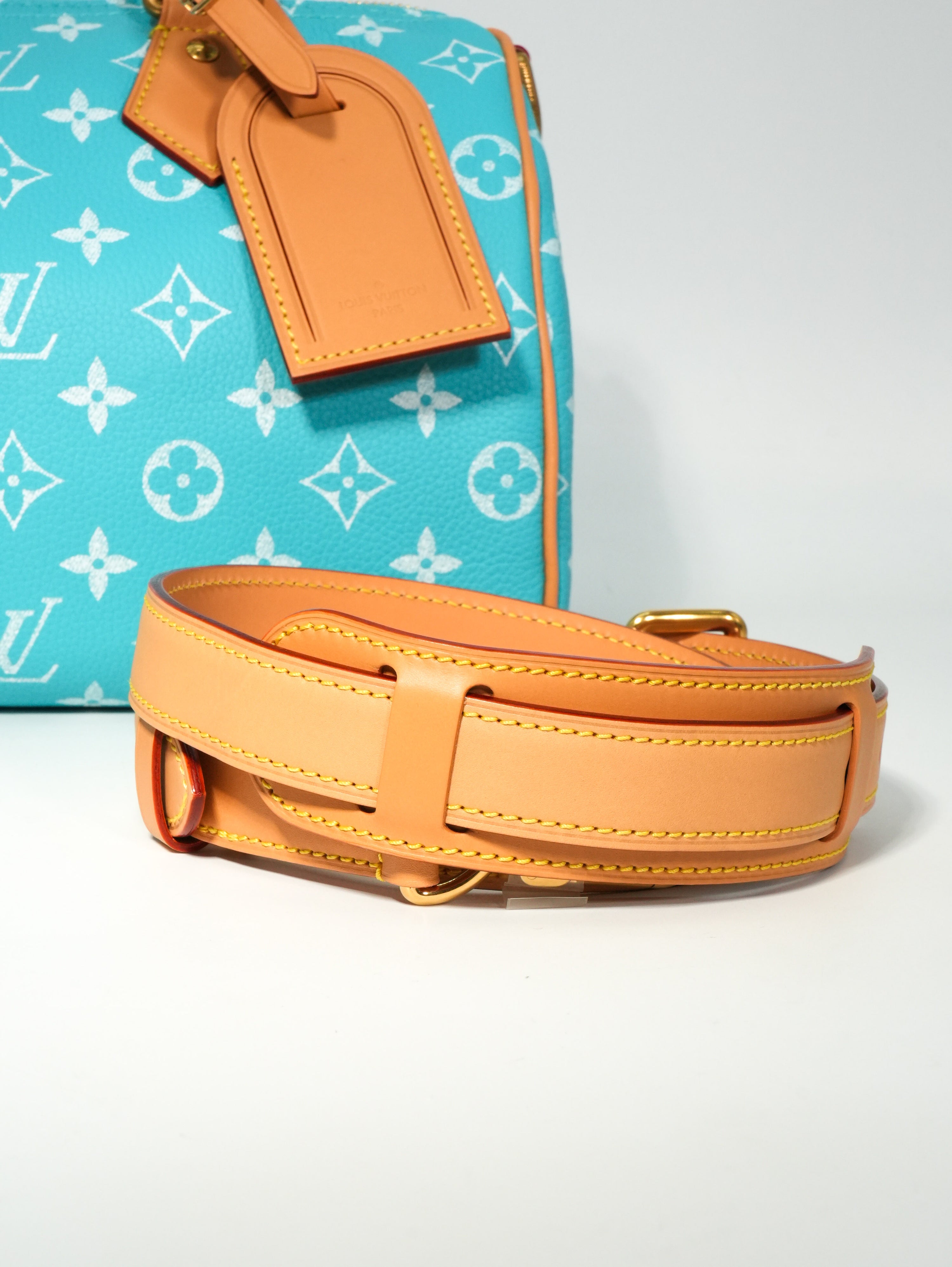 Louis Vuitton Speedy P9 Bandoulière 25
