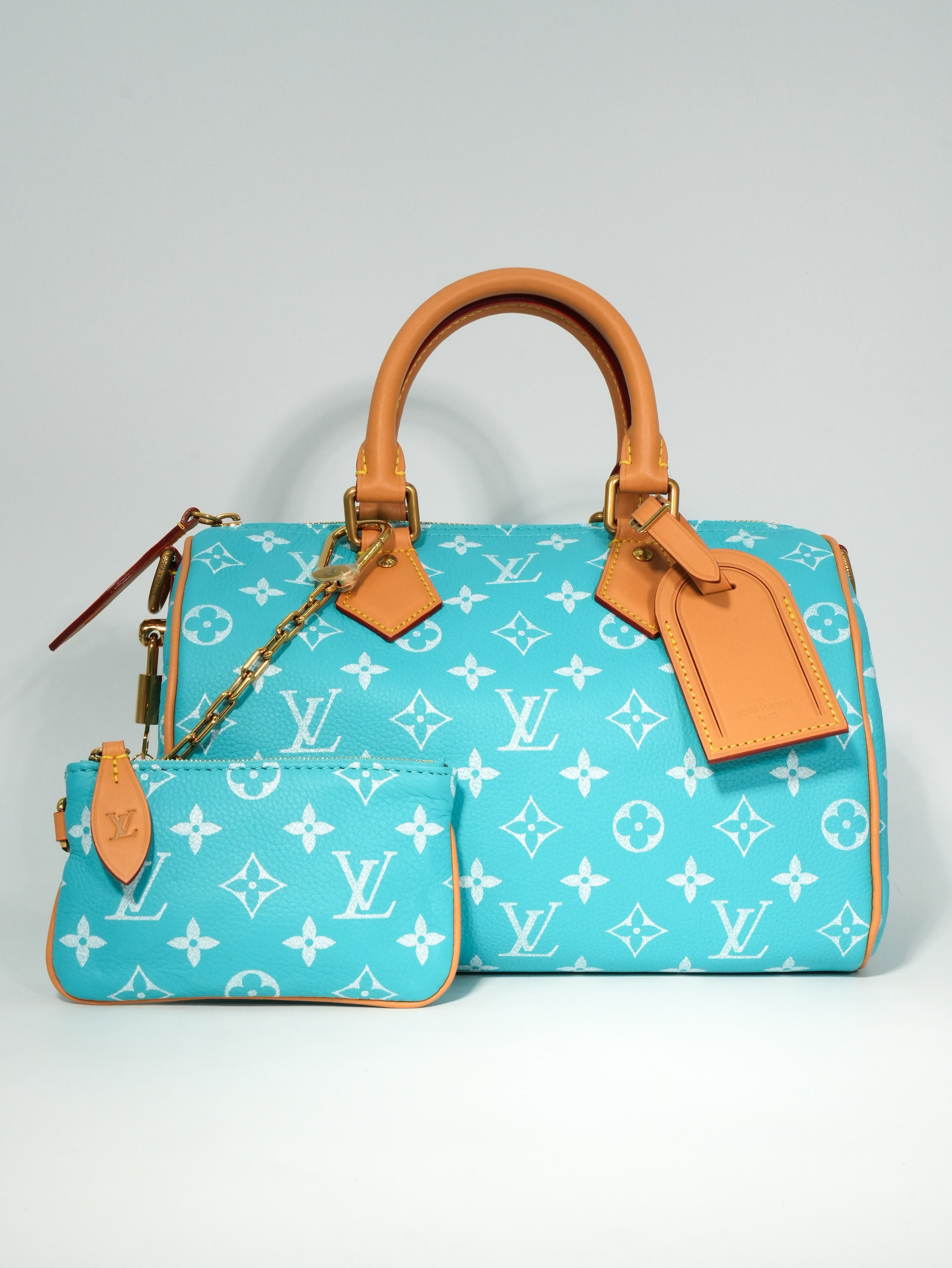Louis Vuitton Speedy P9 Bandoulière 25