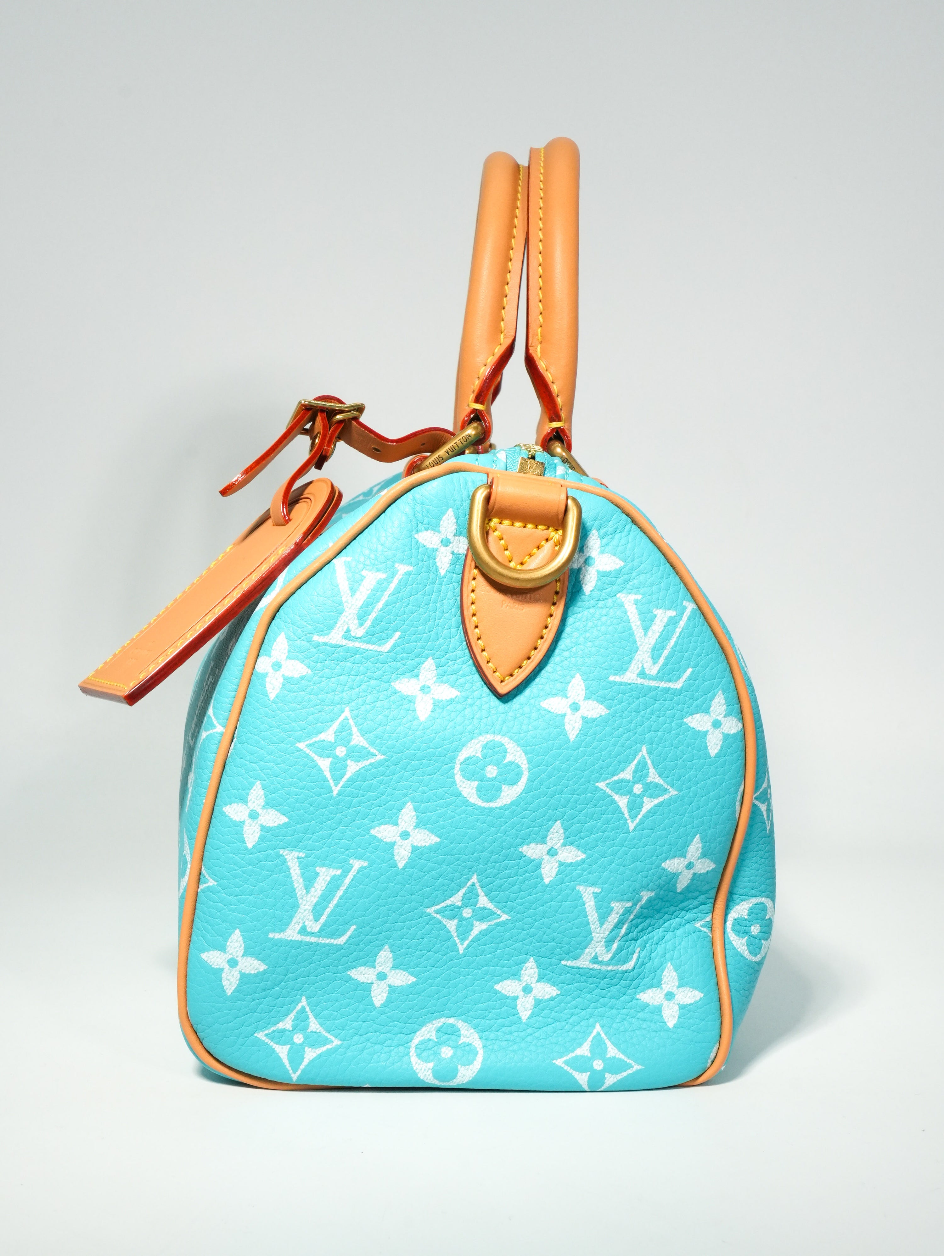 Louis Vuitton Speedy P9 Bandoulière 25