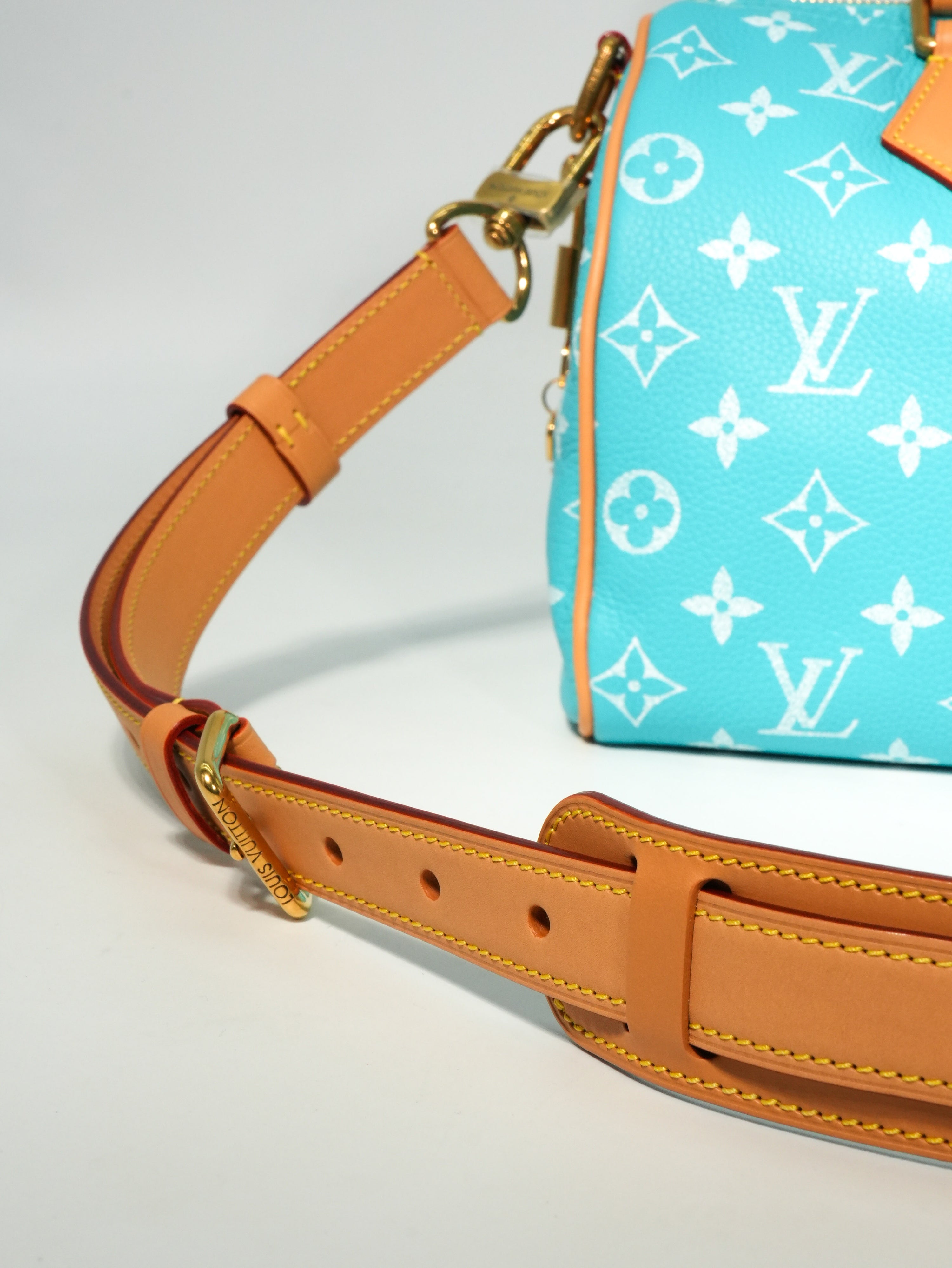 Louis Vuitton Speedy P9 Bandoulière 25
