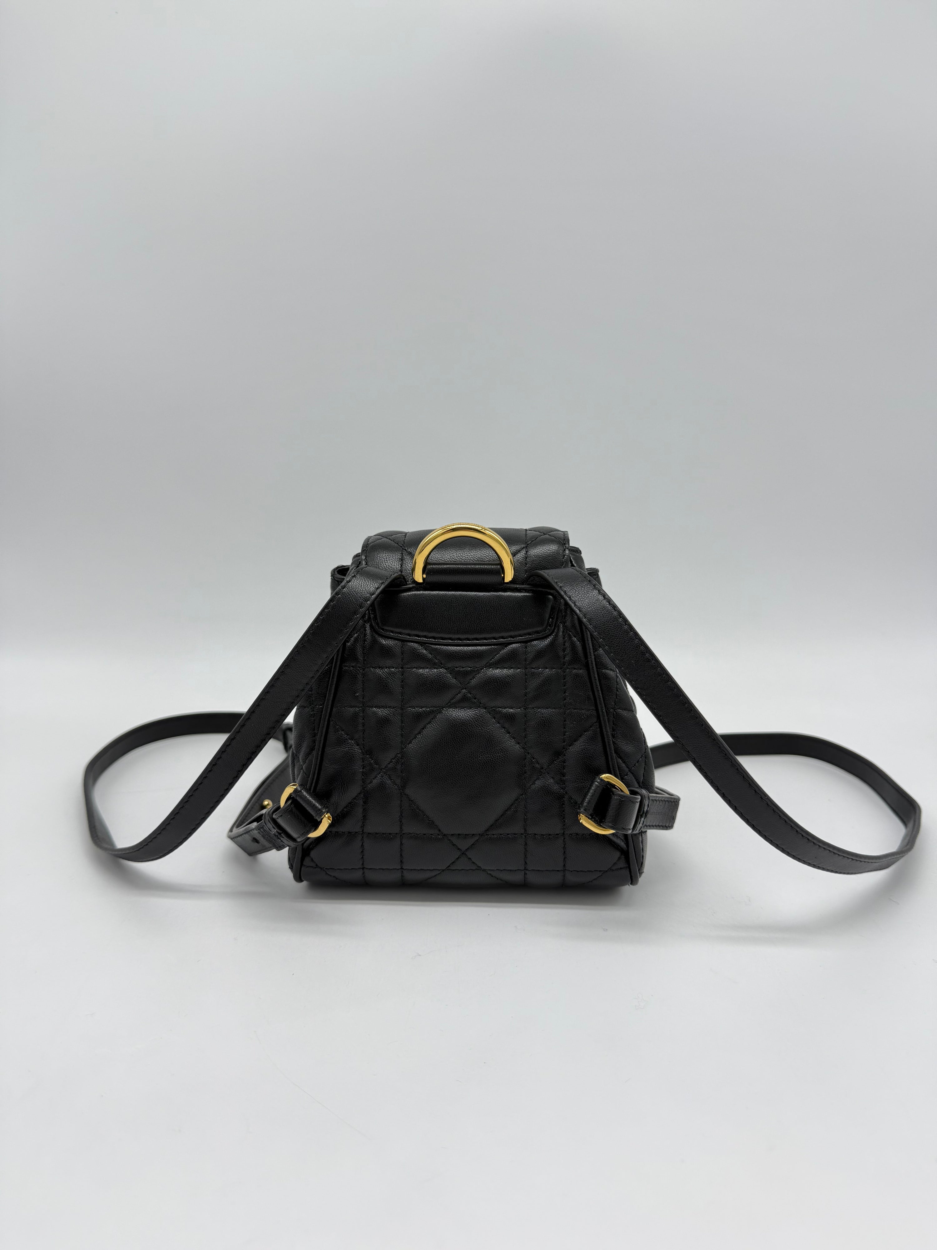 Dior Zaino Caro Nano