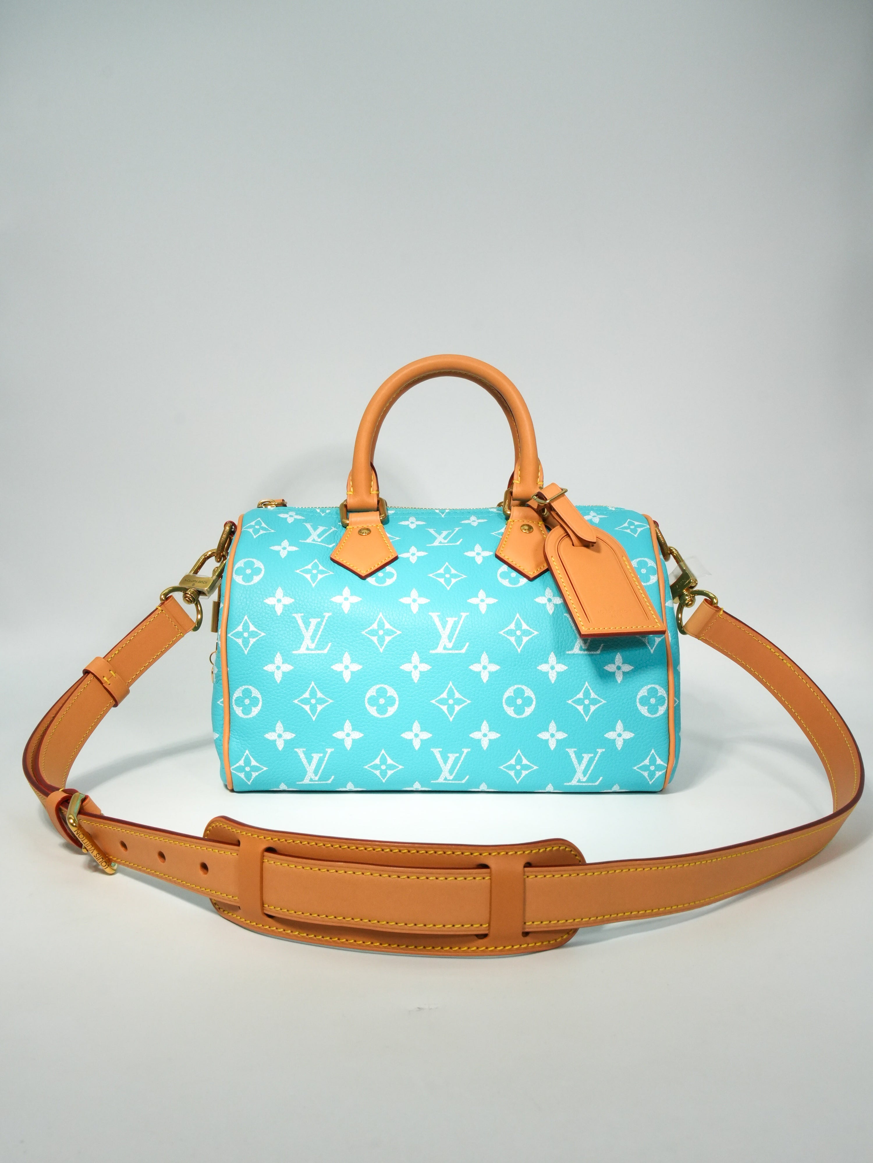Louis Vuitton Speedy P9 Bandoulière 25