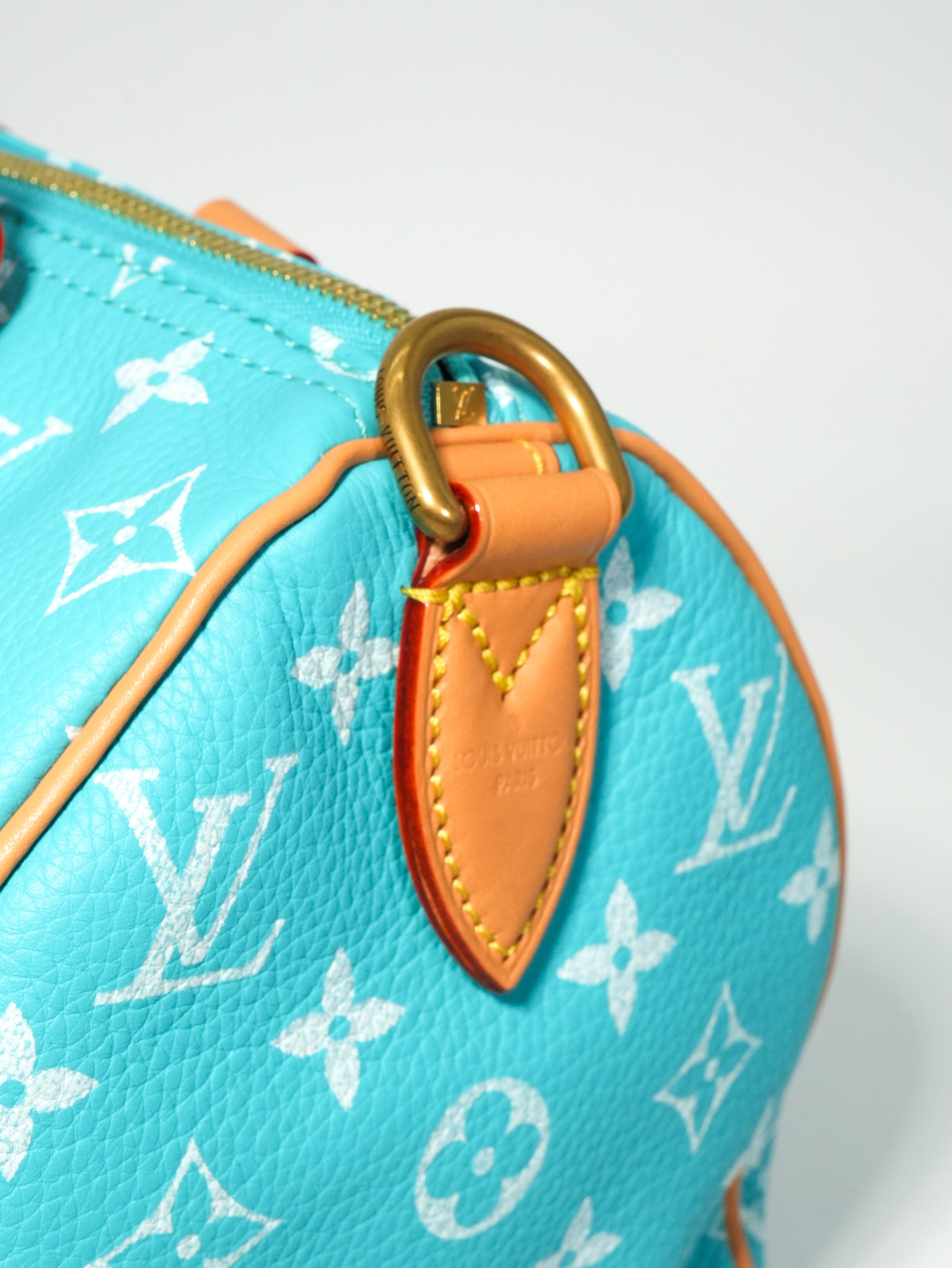 Louis Vuitton Speedy P9 Bandoulière 25