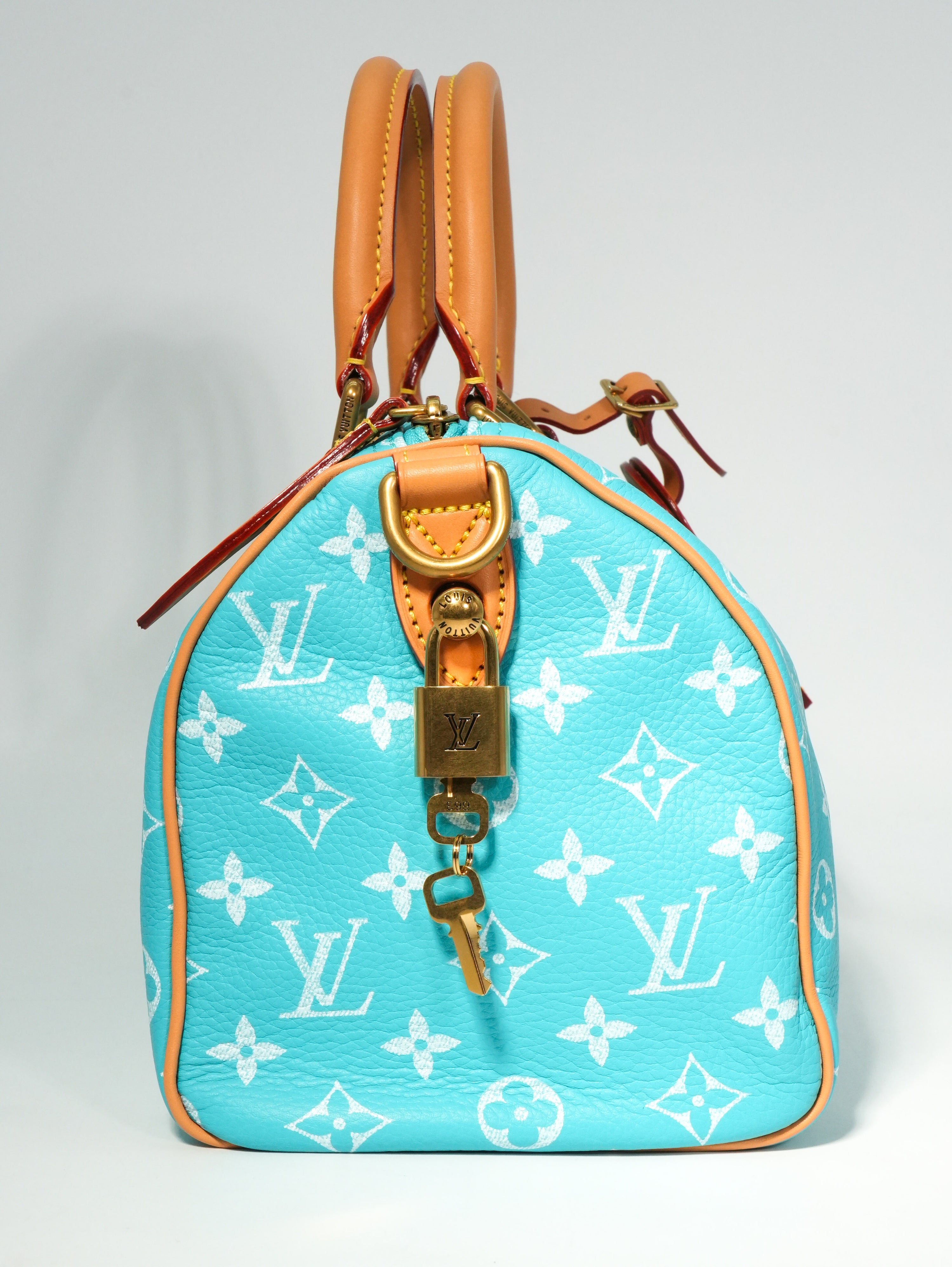 Louis Vuitton Speedy P9 Bandoulière 25