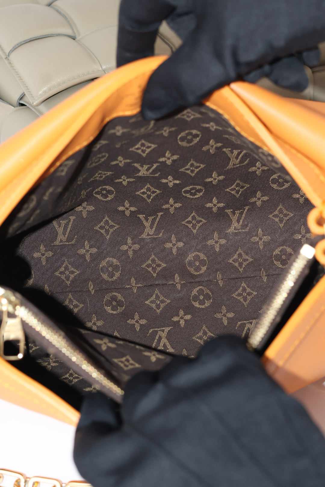 Louis Vuitton Dauphine Soft MM