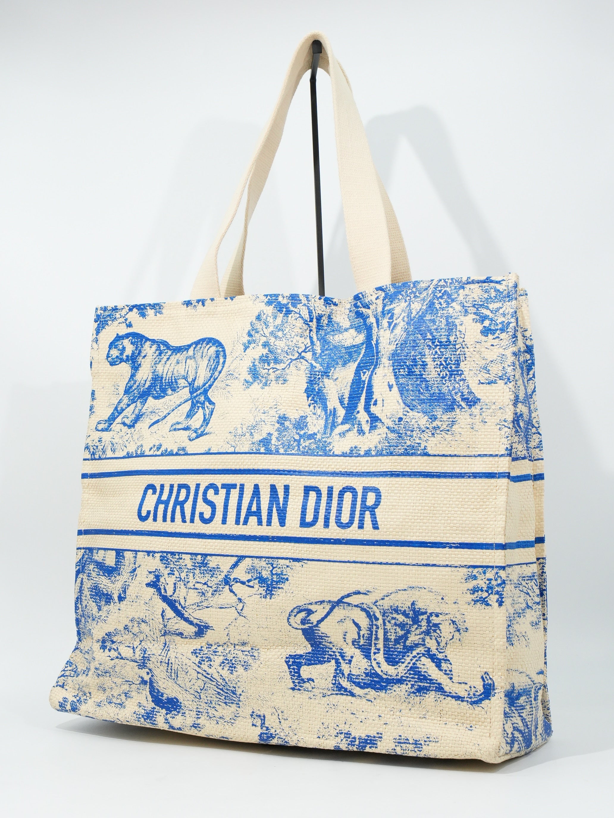 Dior Tote Riviera