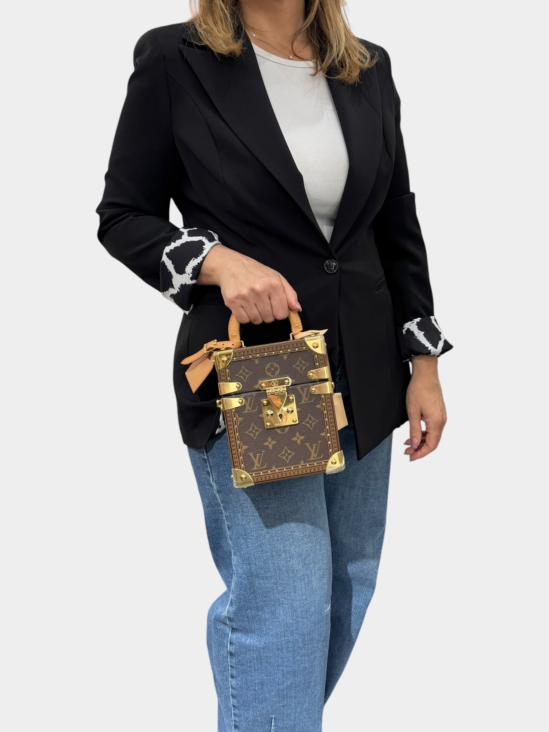 Louis Vuitton Camera Box Monogram