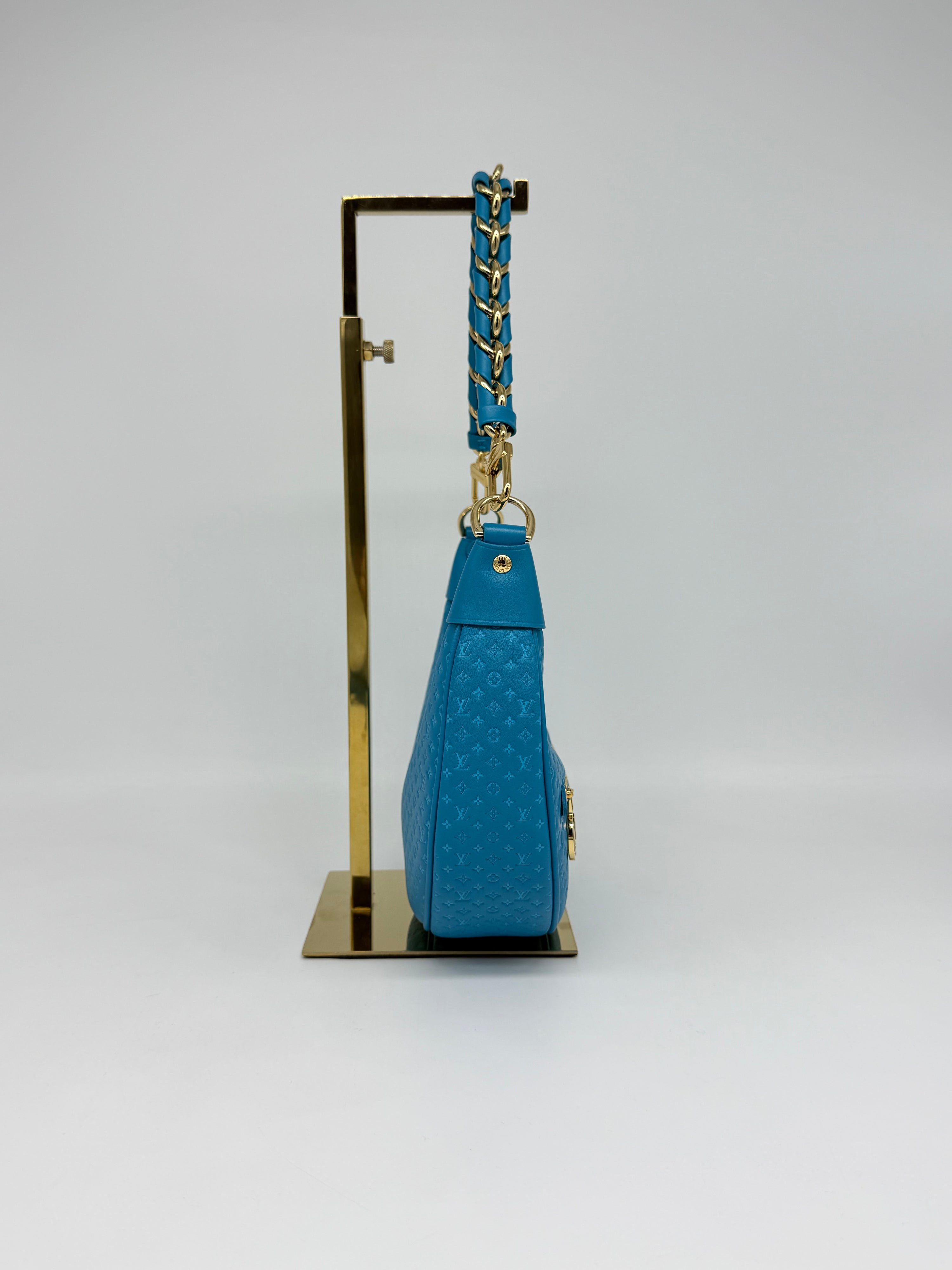 Louis Vuitton Loop Hobo Nanogram