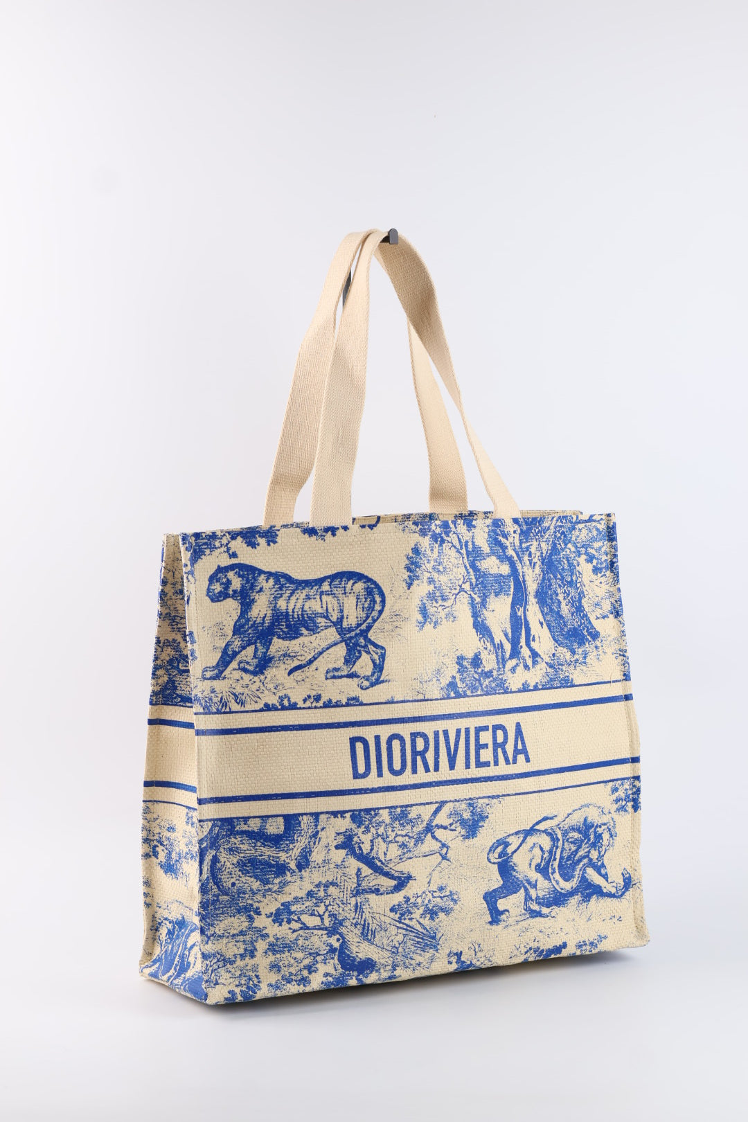 Dior Tote Riviera