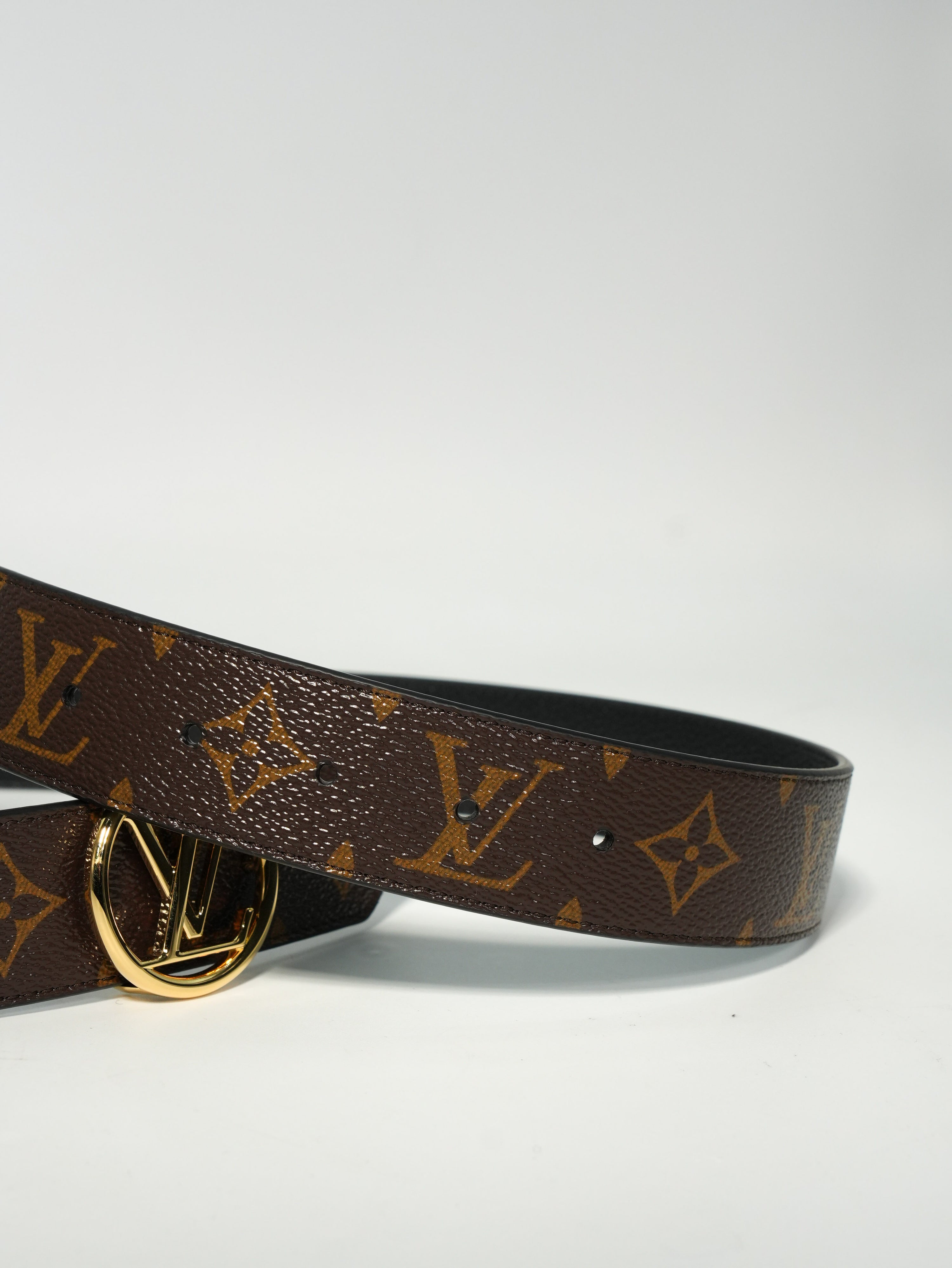 Louis Vuitton Cintura Circle Reversibile