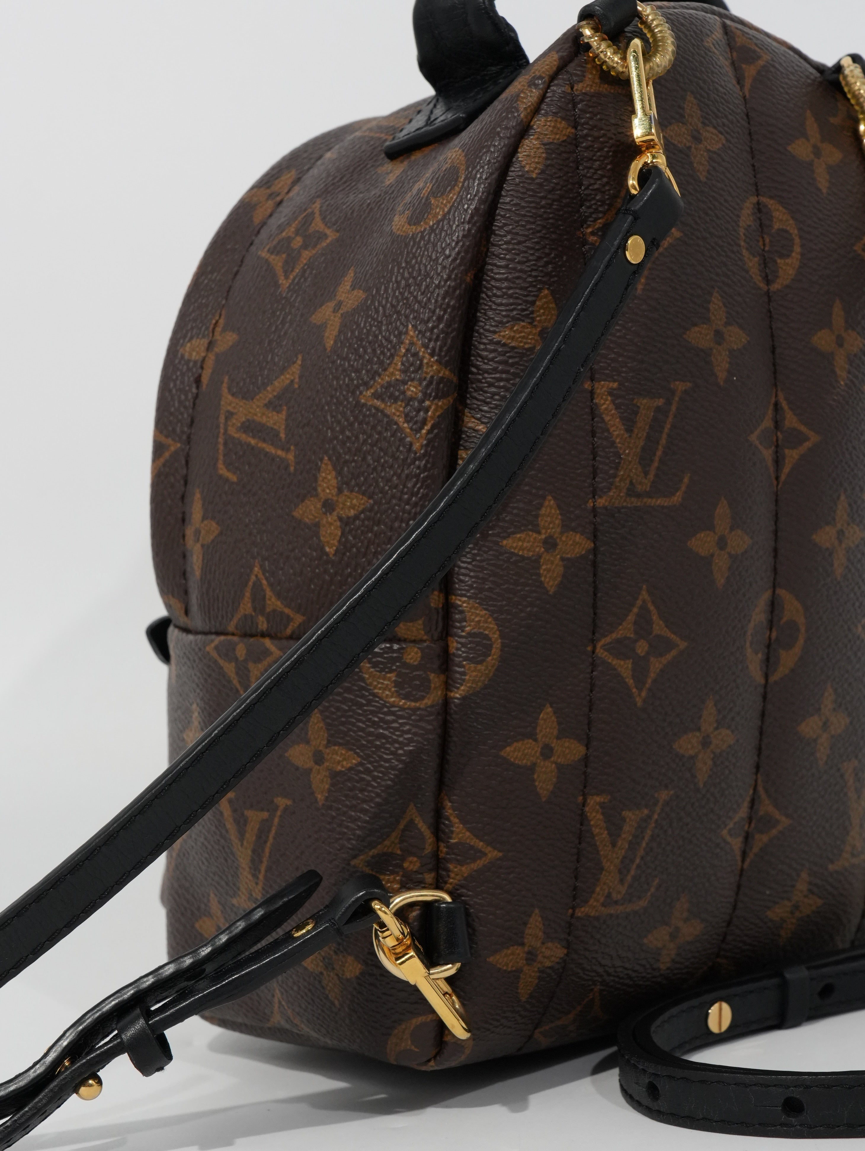 Louis Vuitton Mini Palm Spring