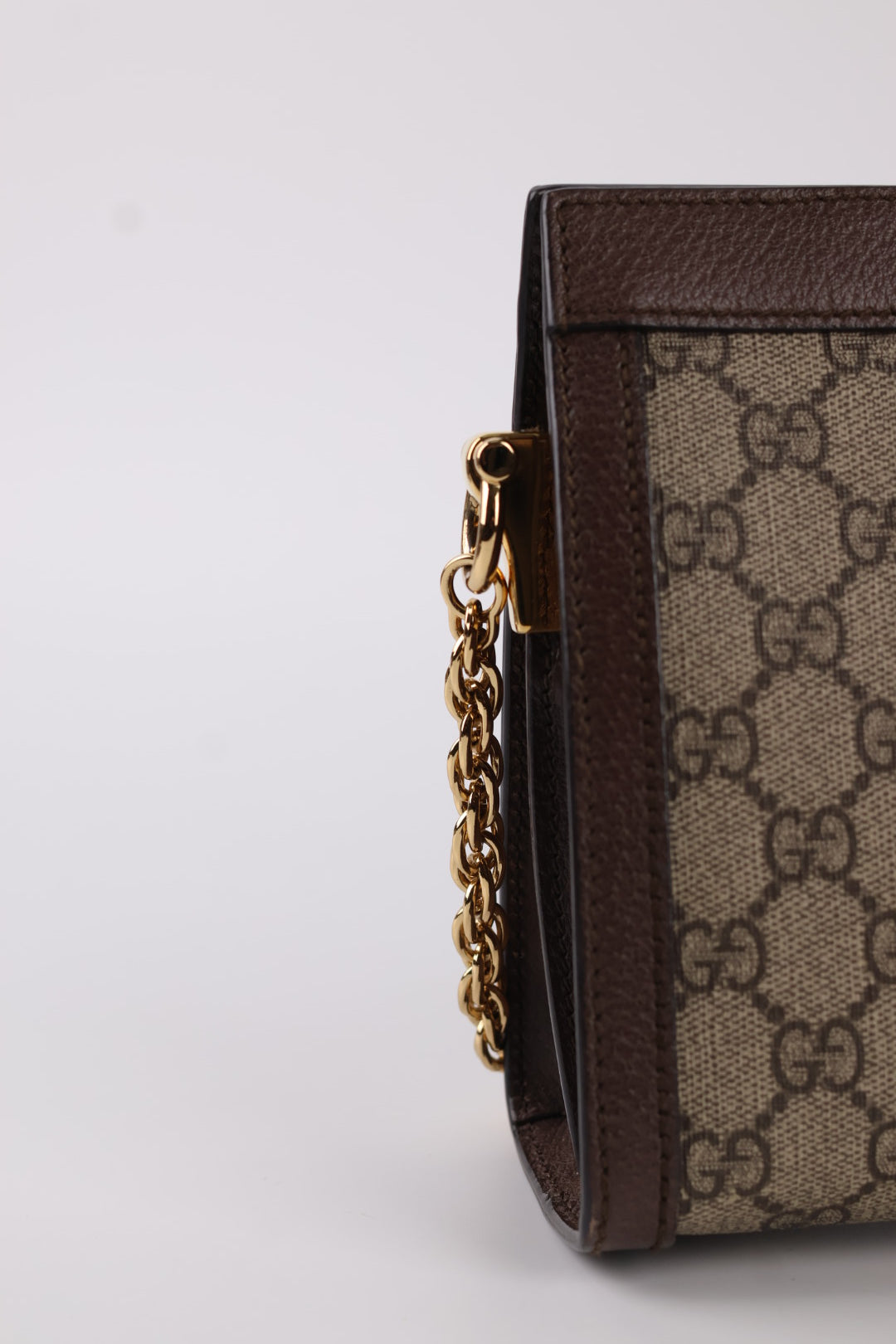 Gucci Ophidia Chain GG Supreme