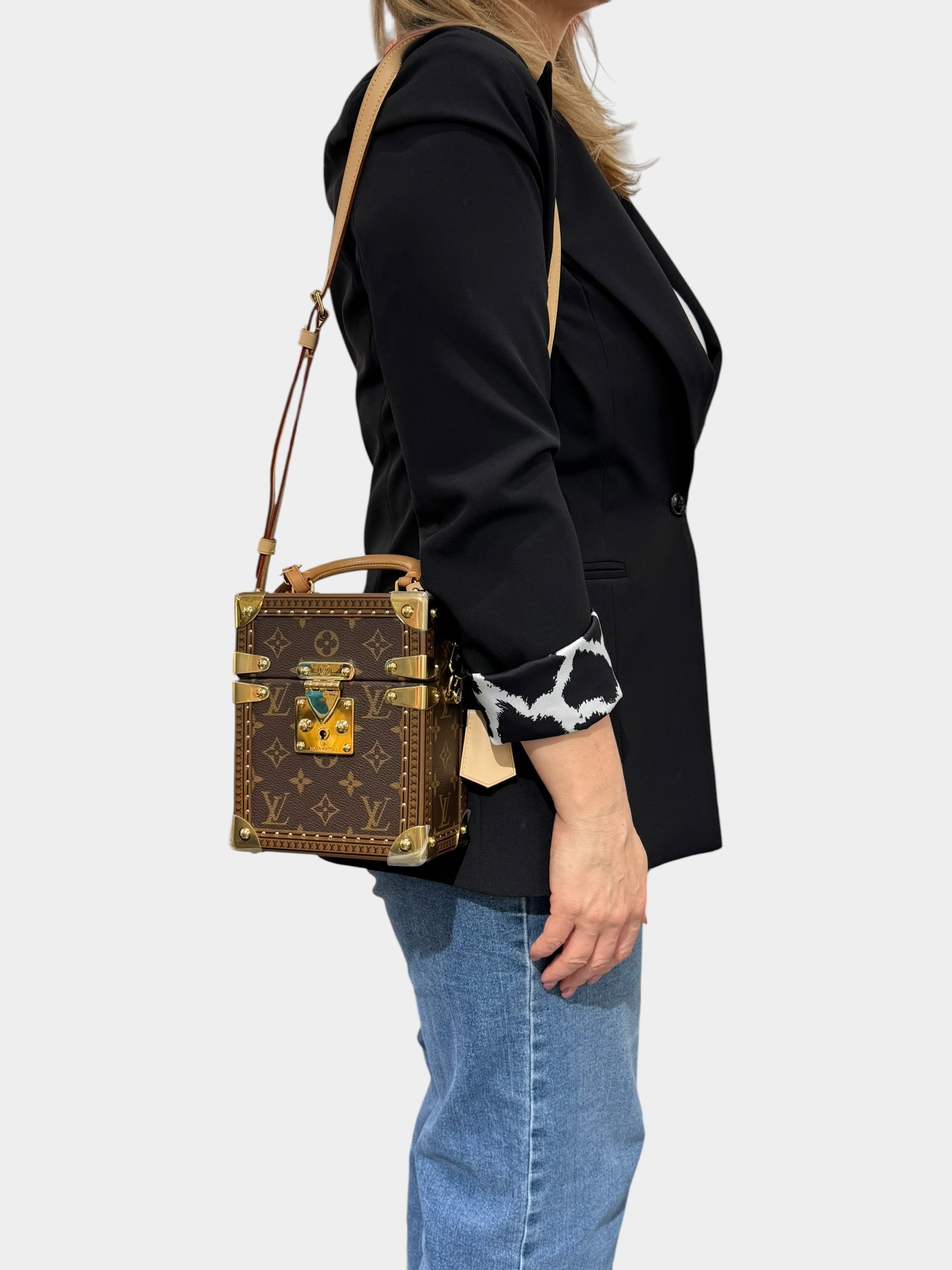 Louis Vuitton Camera Box Monogram