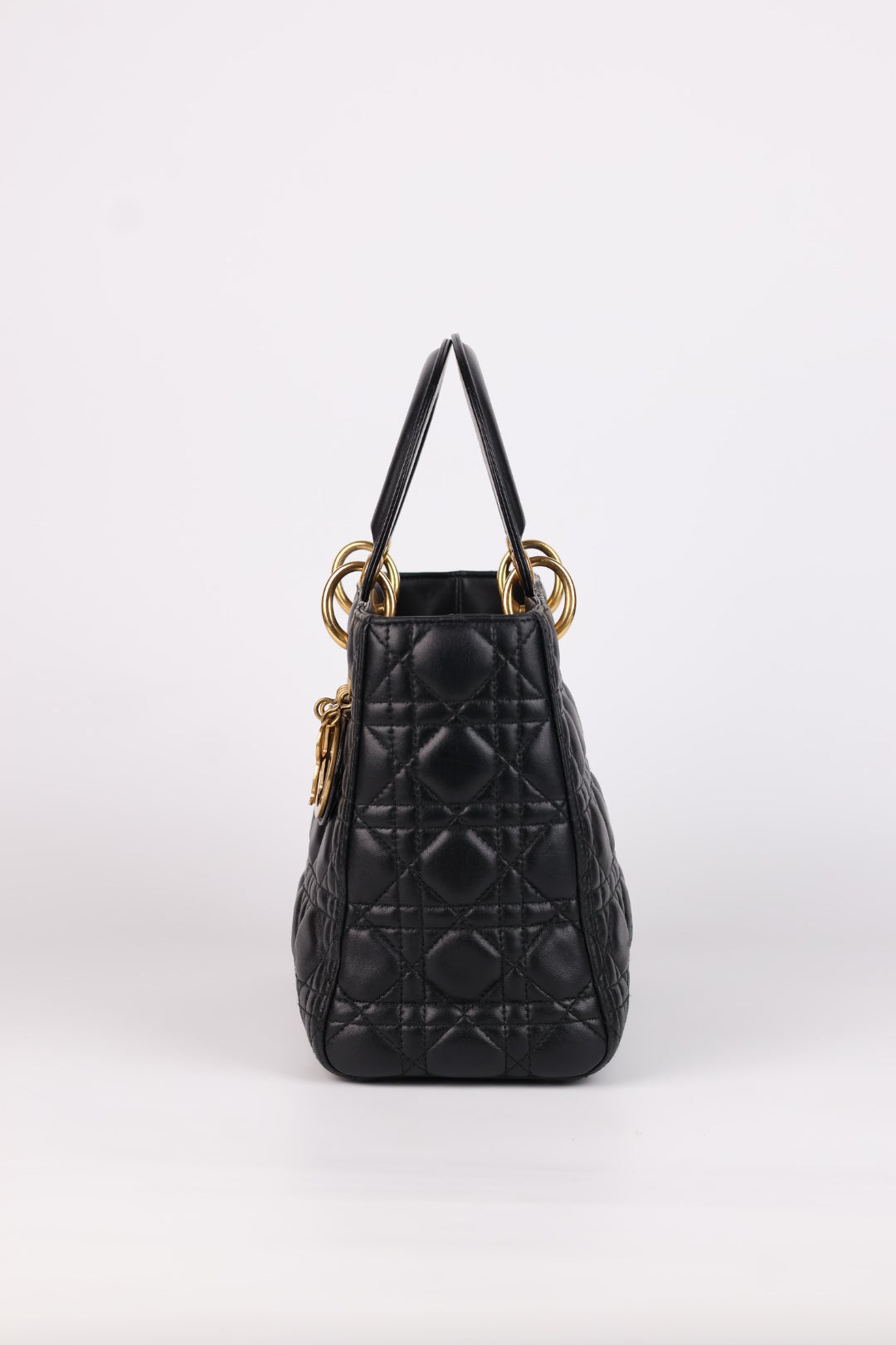 Lady Dior Meda in Pelle