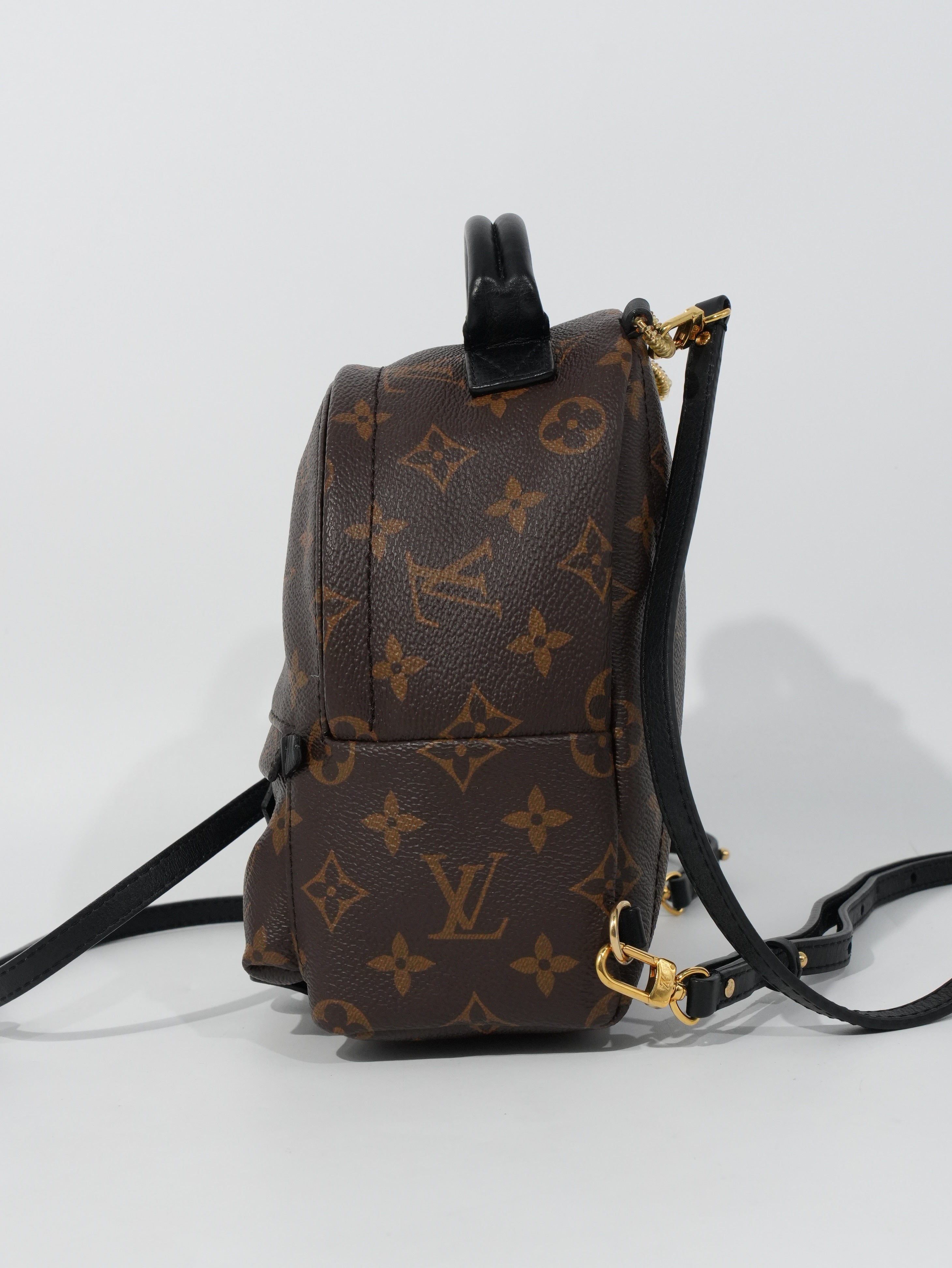 Louis Vuitton Mini Palm Spring