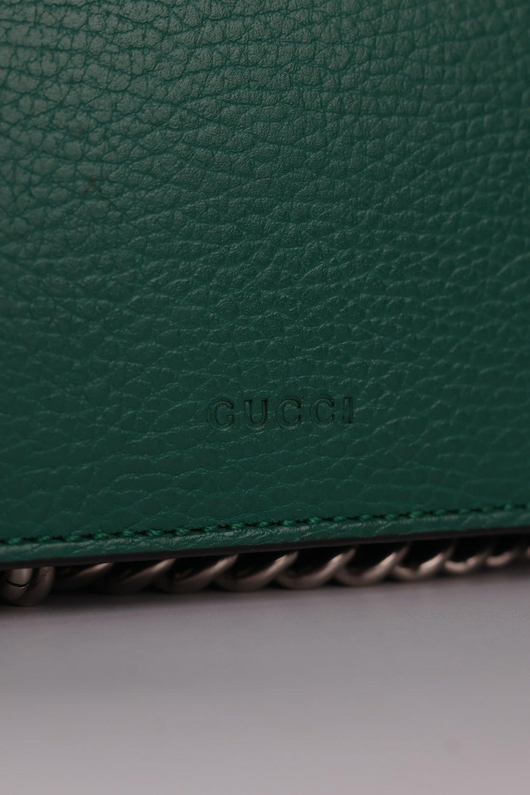 Gucci Dionysus in Pelle