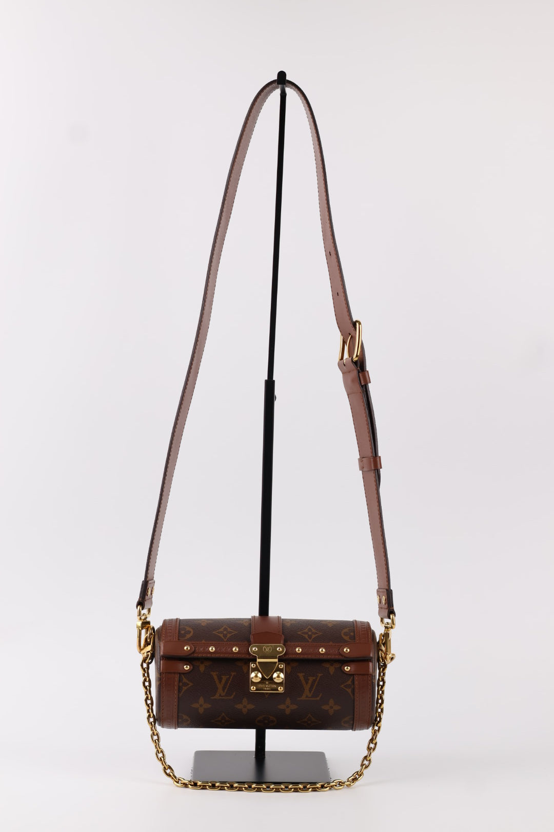 Louis Vuitton Papillon Trunk