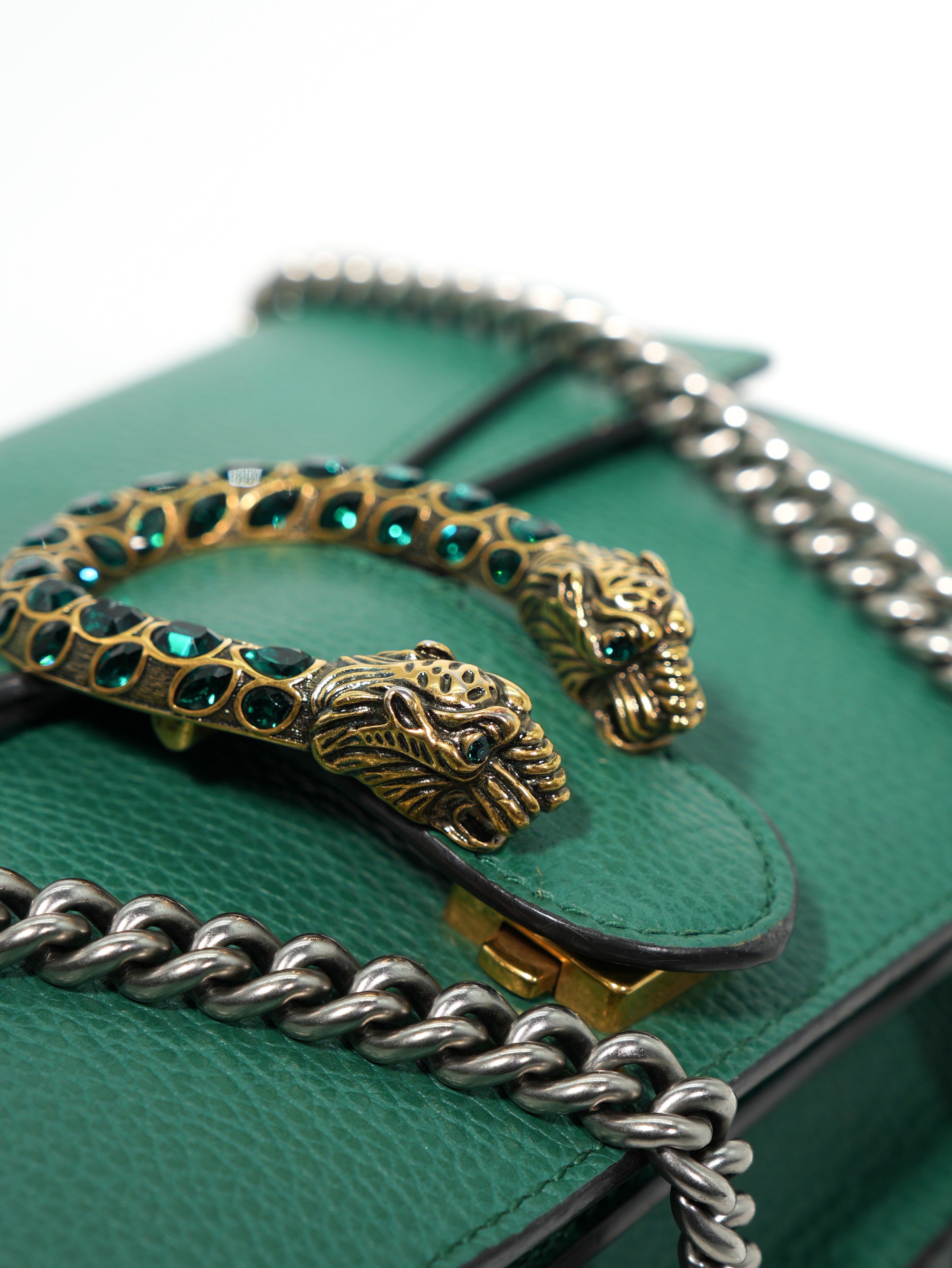 Gucci Dionysus in Pelle