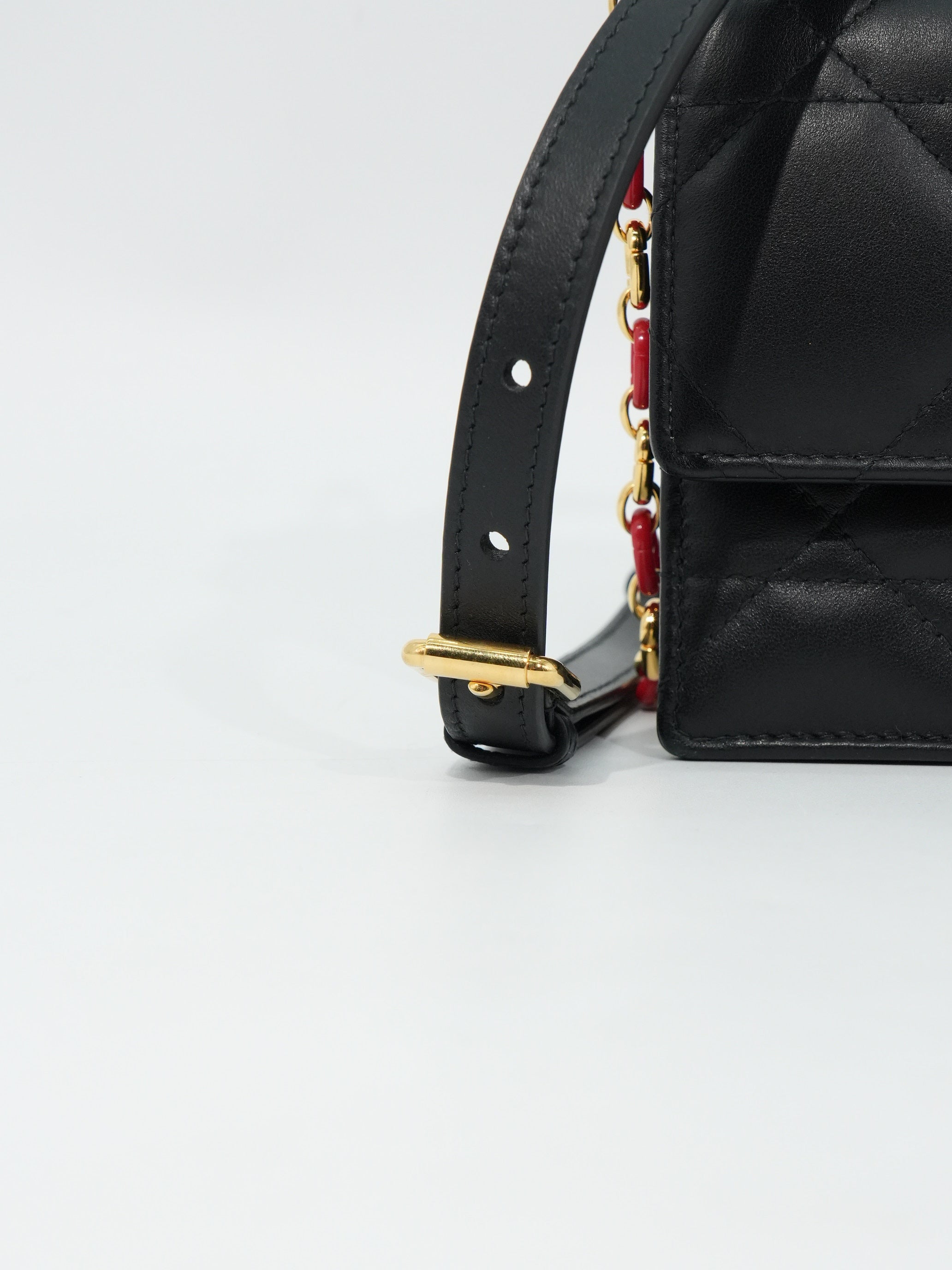 Dior Miss Caro Mini Dioramour