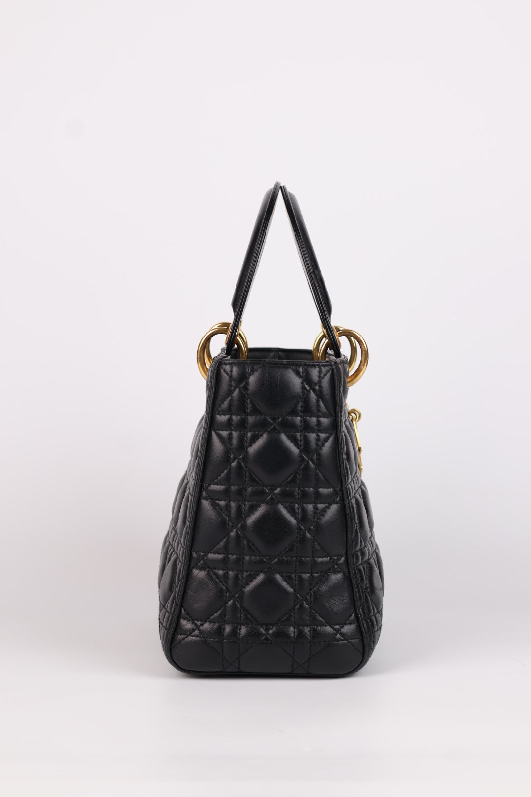 Lady Dior Meda in Pelle