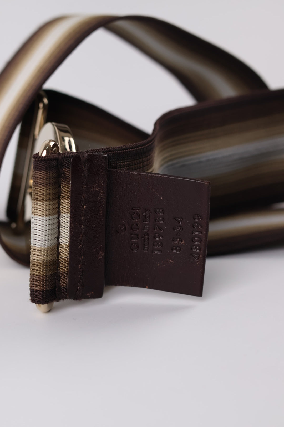 Gucci Cintura Web