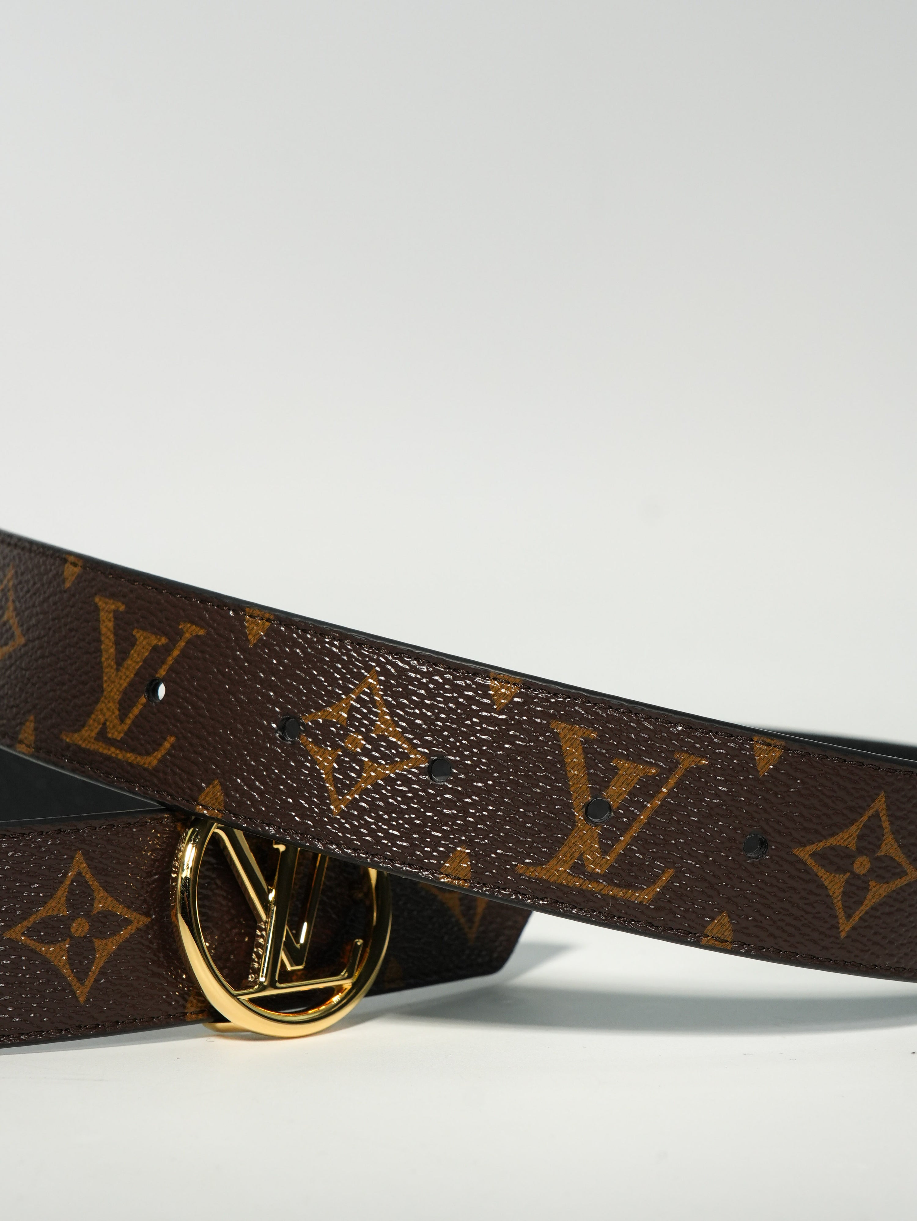 Louis Vuitton Cintura Circle Reversibile